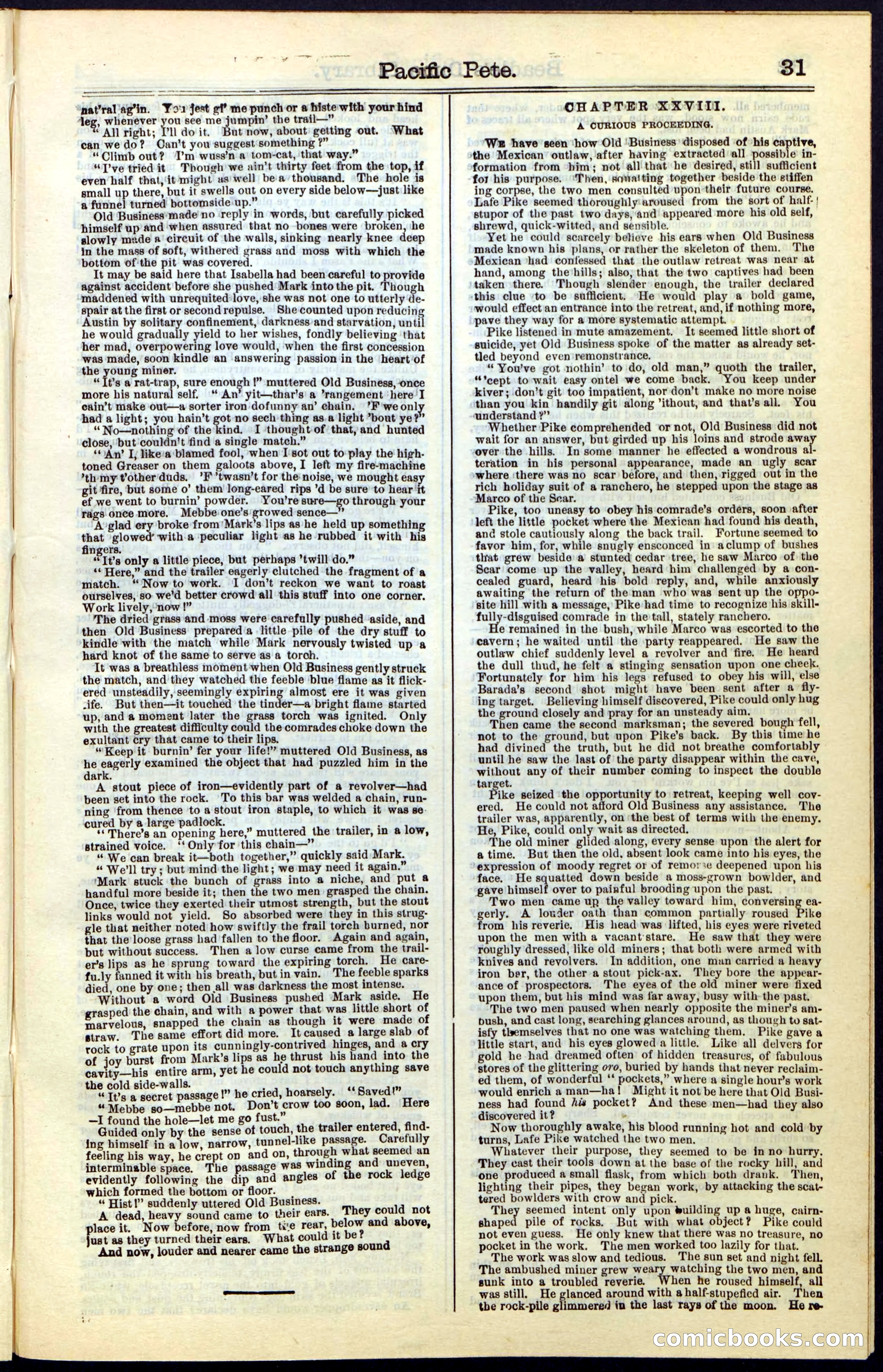 Beadle's Dime New York Library No. 47 — page 31 of 40