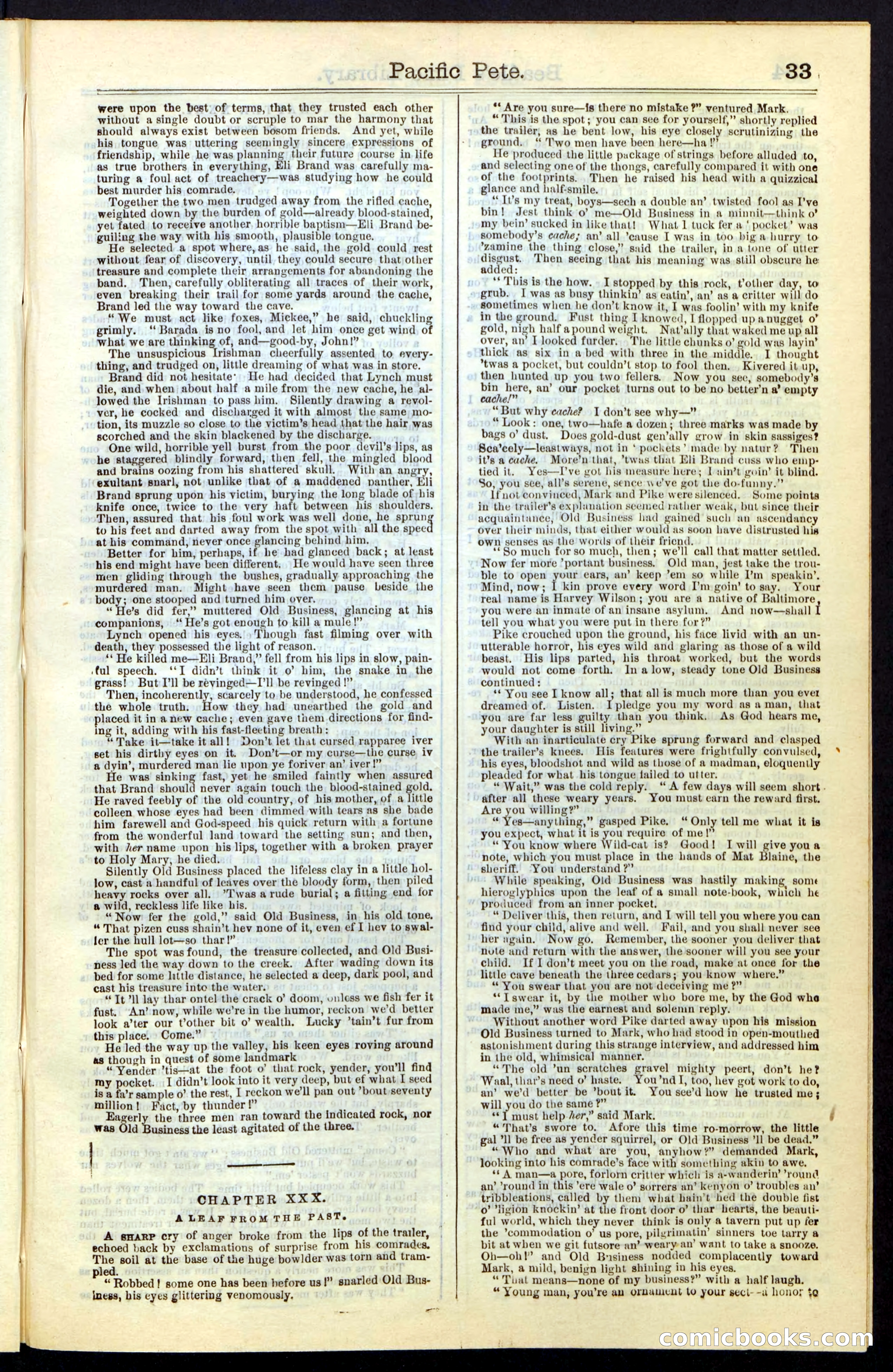 Beadle's Dime New York Library No. 47 — page 33 of 40