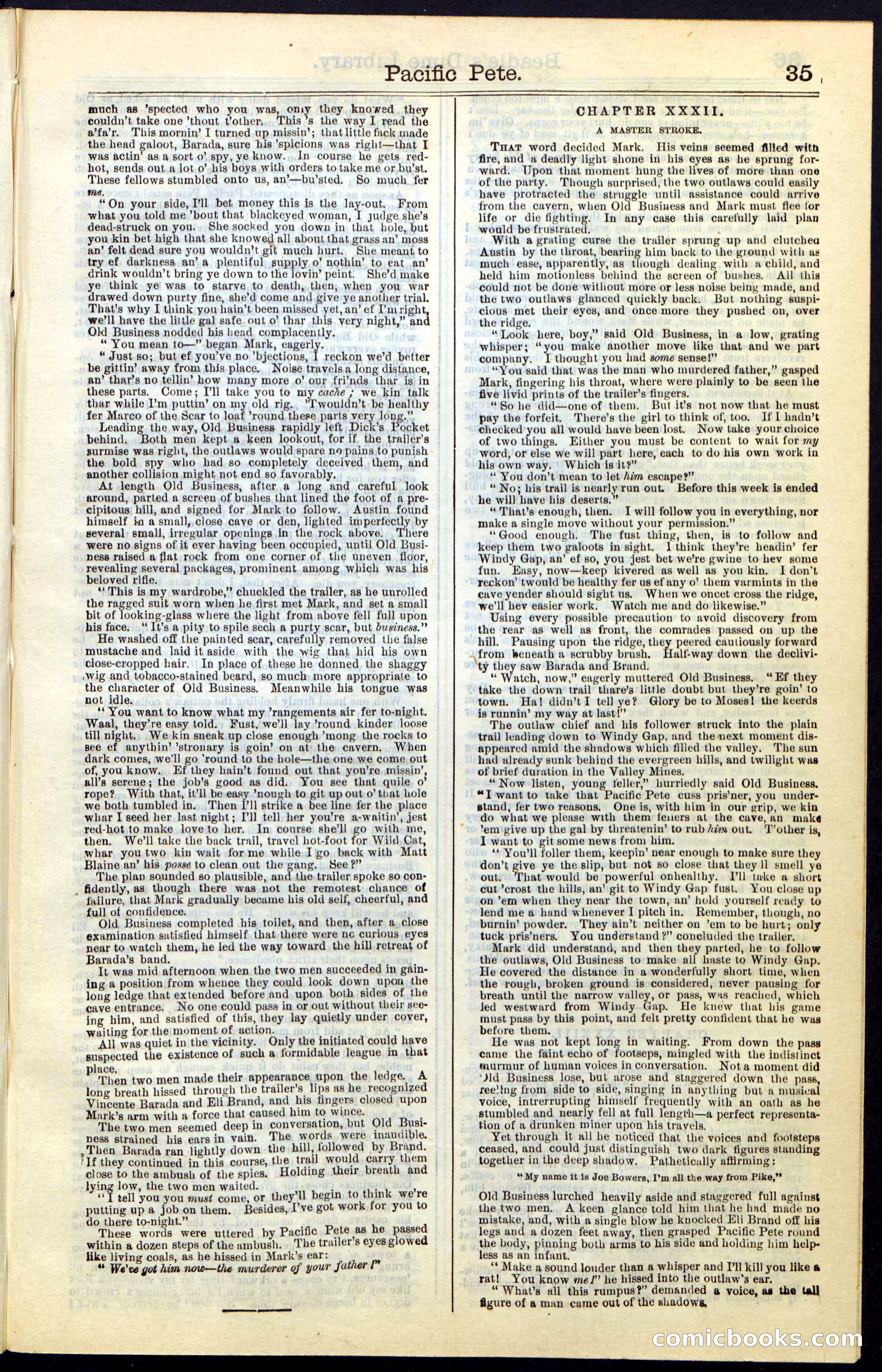 Beadle's Dime New York Library No. 47 — page 35 of 40