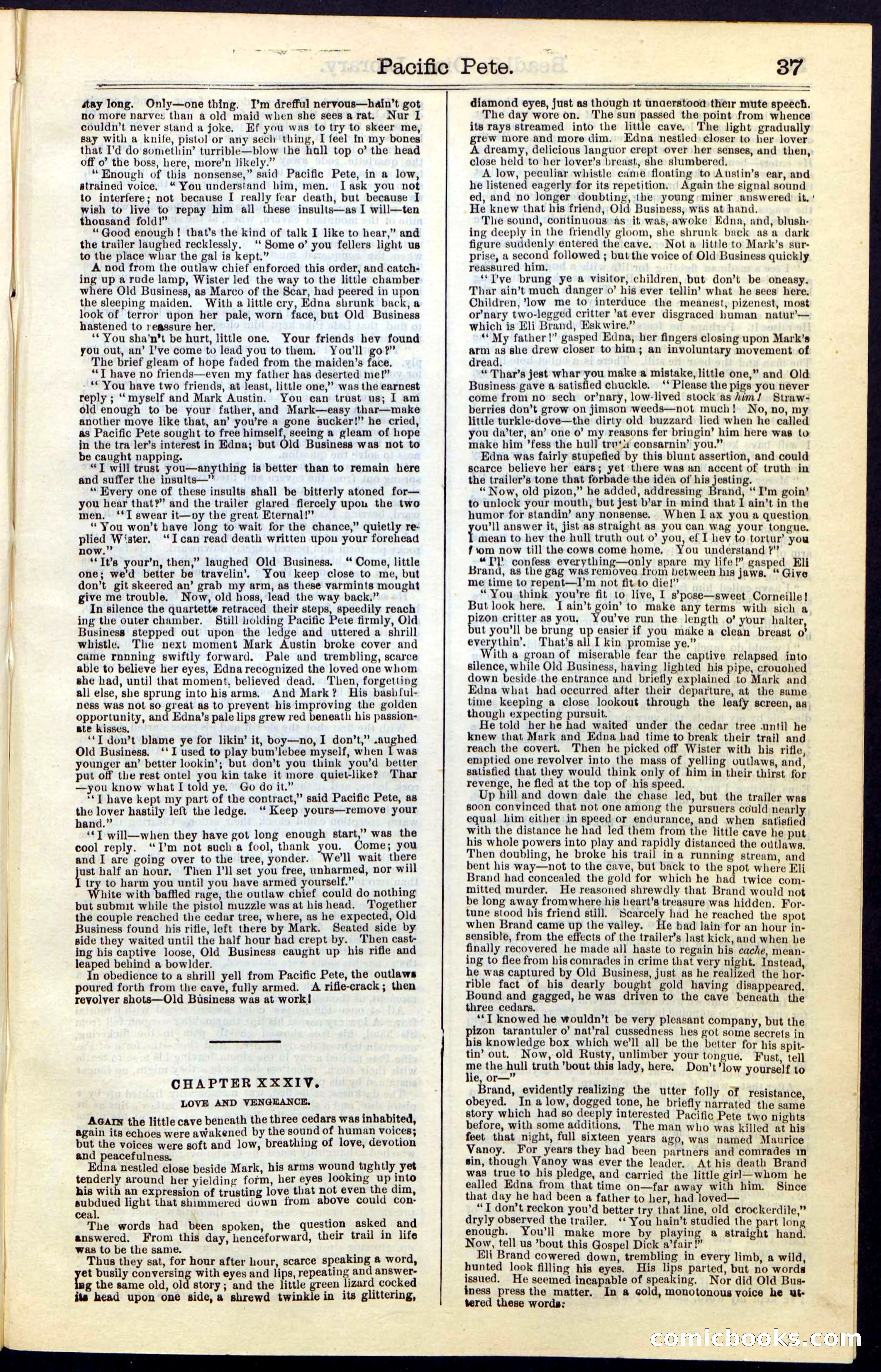 Beadle's Dime New York Library No. 47 — page 37 of 40
