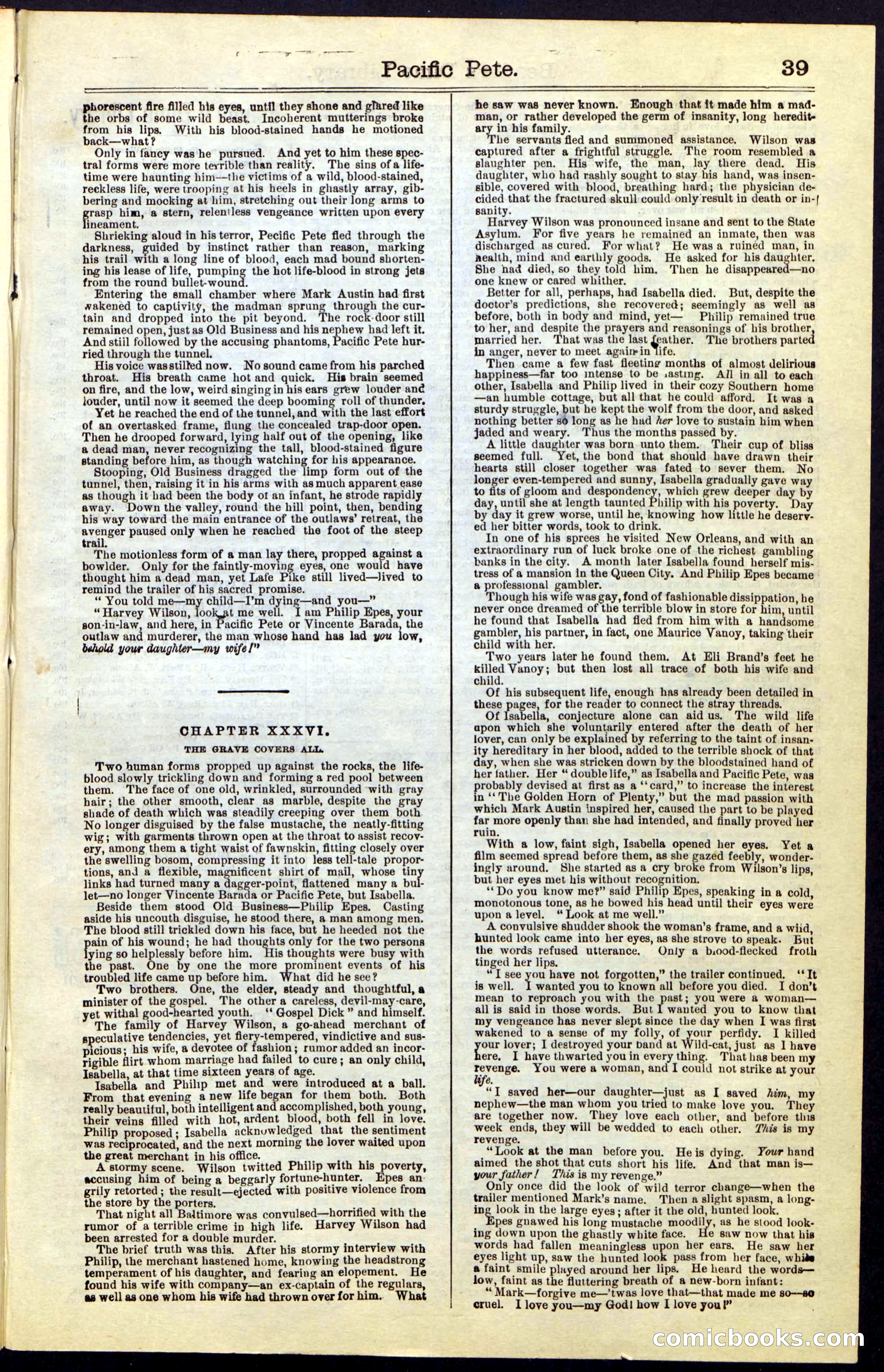 Beadle's Dime New York Library No. 47 — page 39 of 40