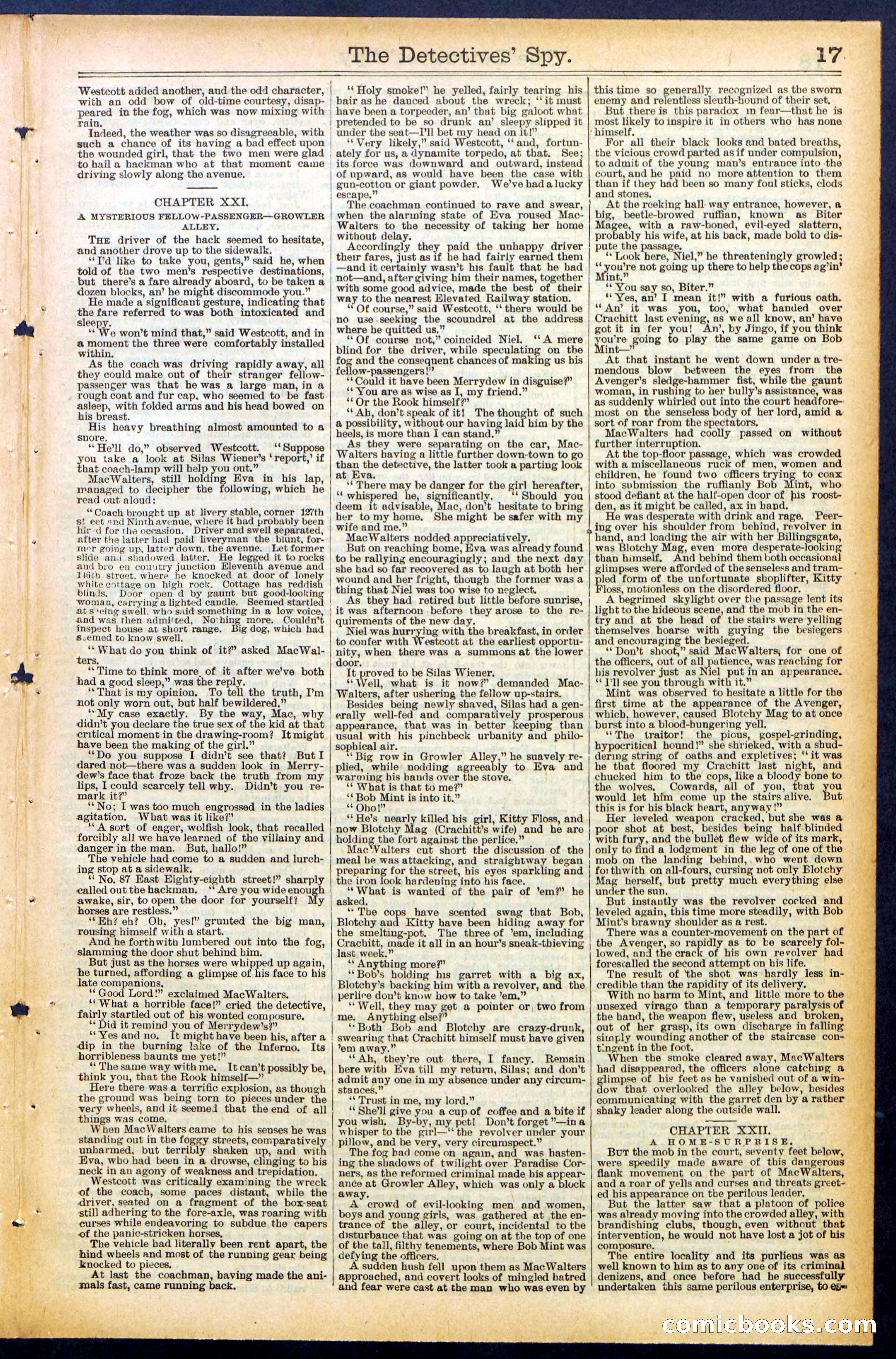 Beadle's Dime Library, No. 494 — page 17 of 32