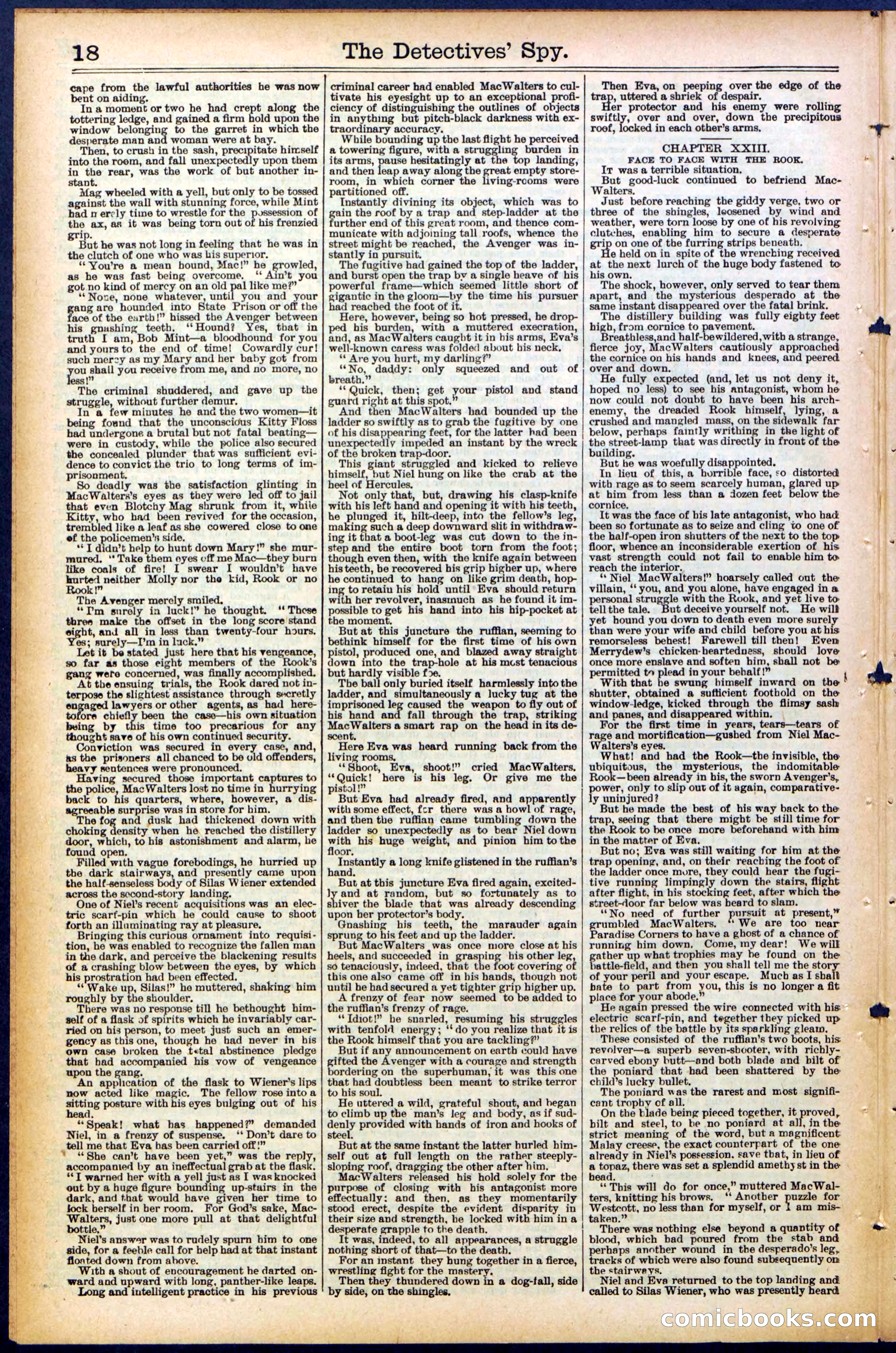 Beadle's Dime Library, No. 494 — page 18 of 32
