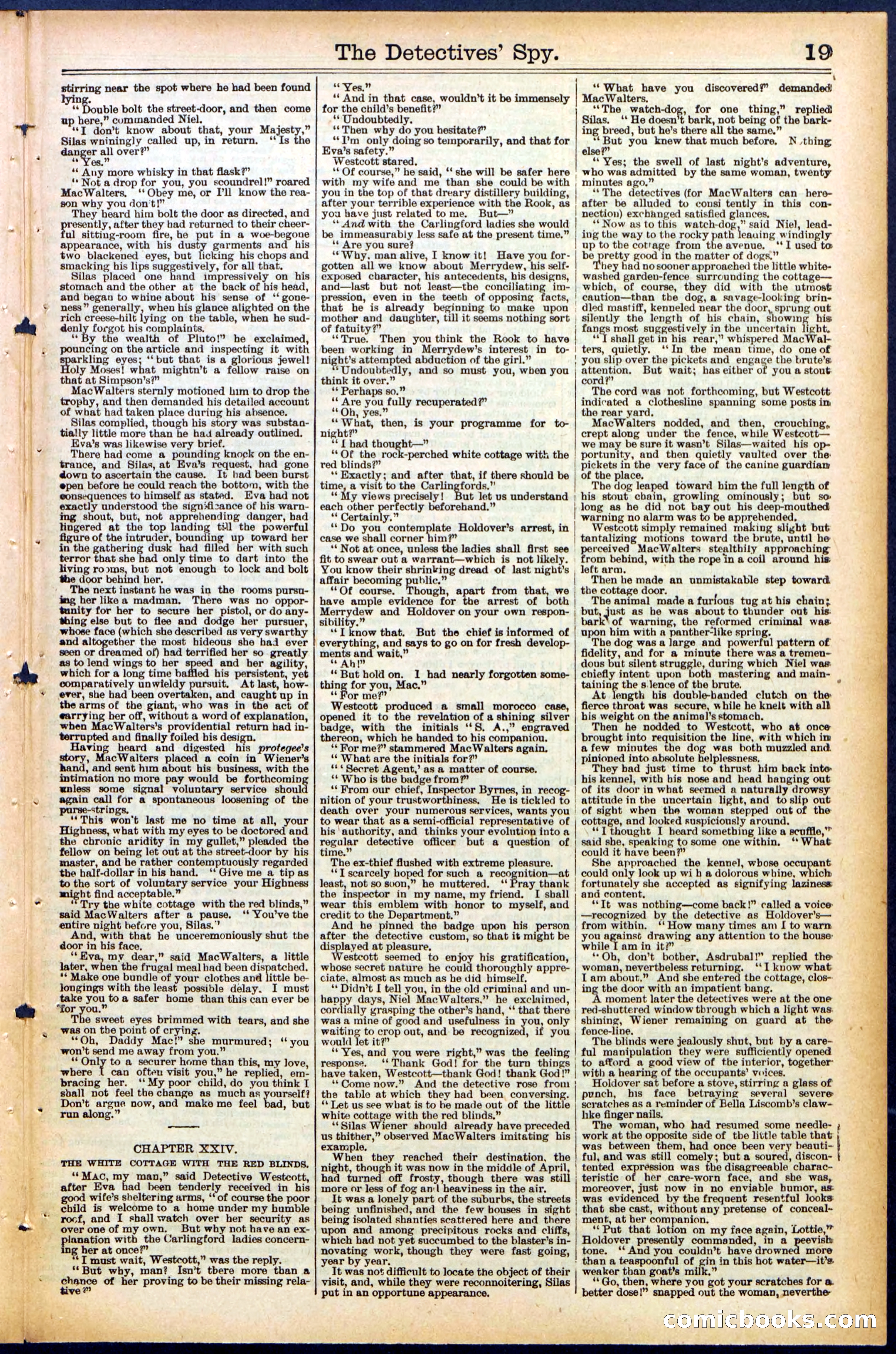 Beadle's Dime Library, No. 494 — page 19 of 32