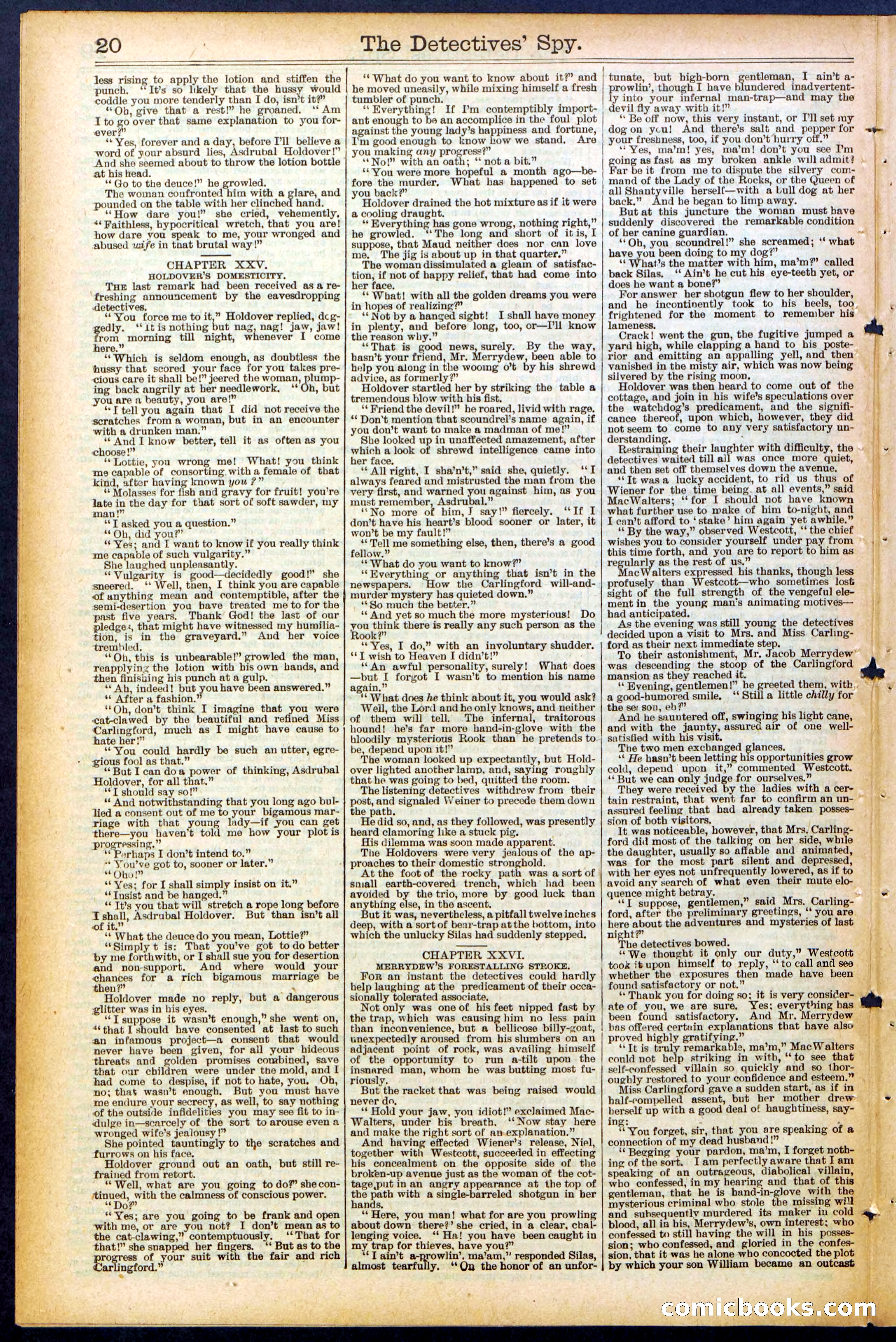 Beadle's Dime Library, No. 494 — page 20 of 32