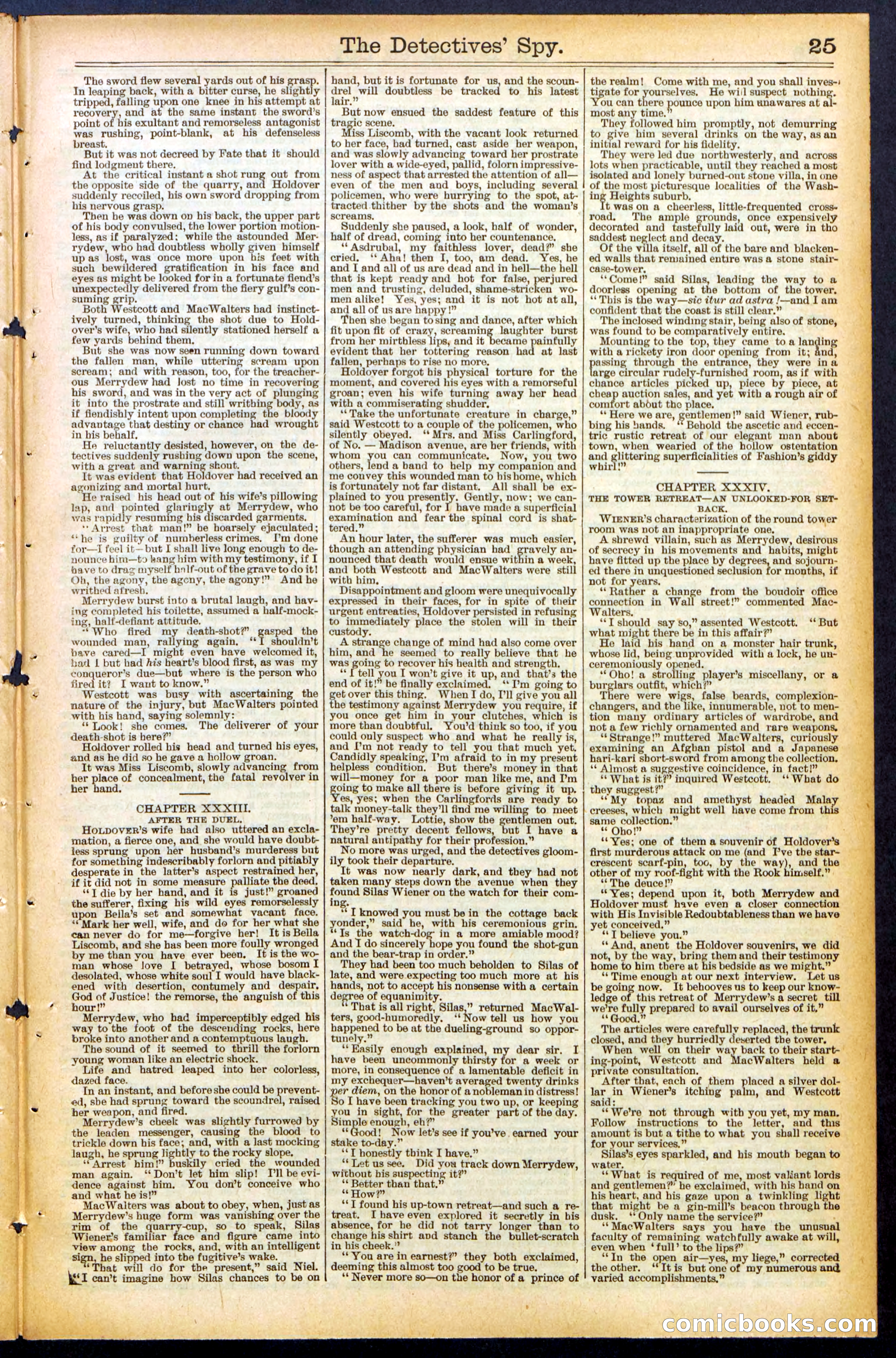Beadle's Dime Library, No. 494 — page 25 of 32