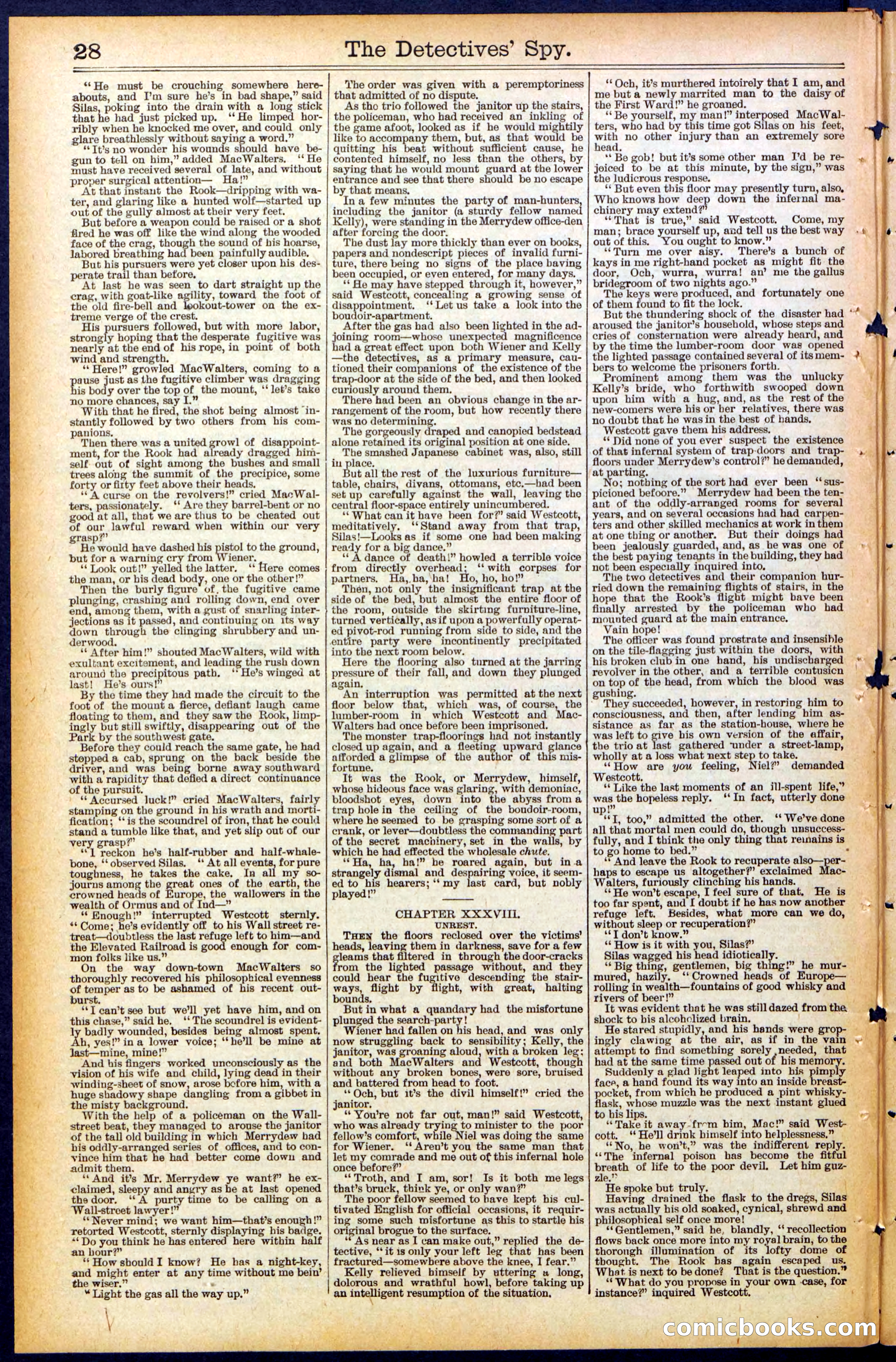 Beadle's Dime Library, No. 494 — page 28 of 32