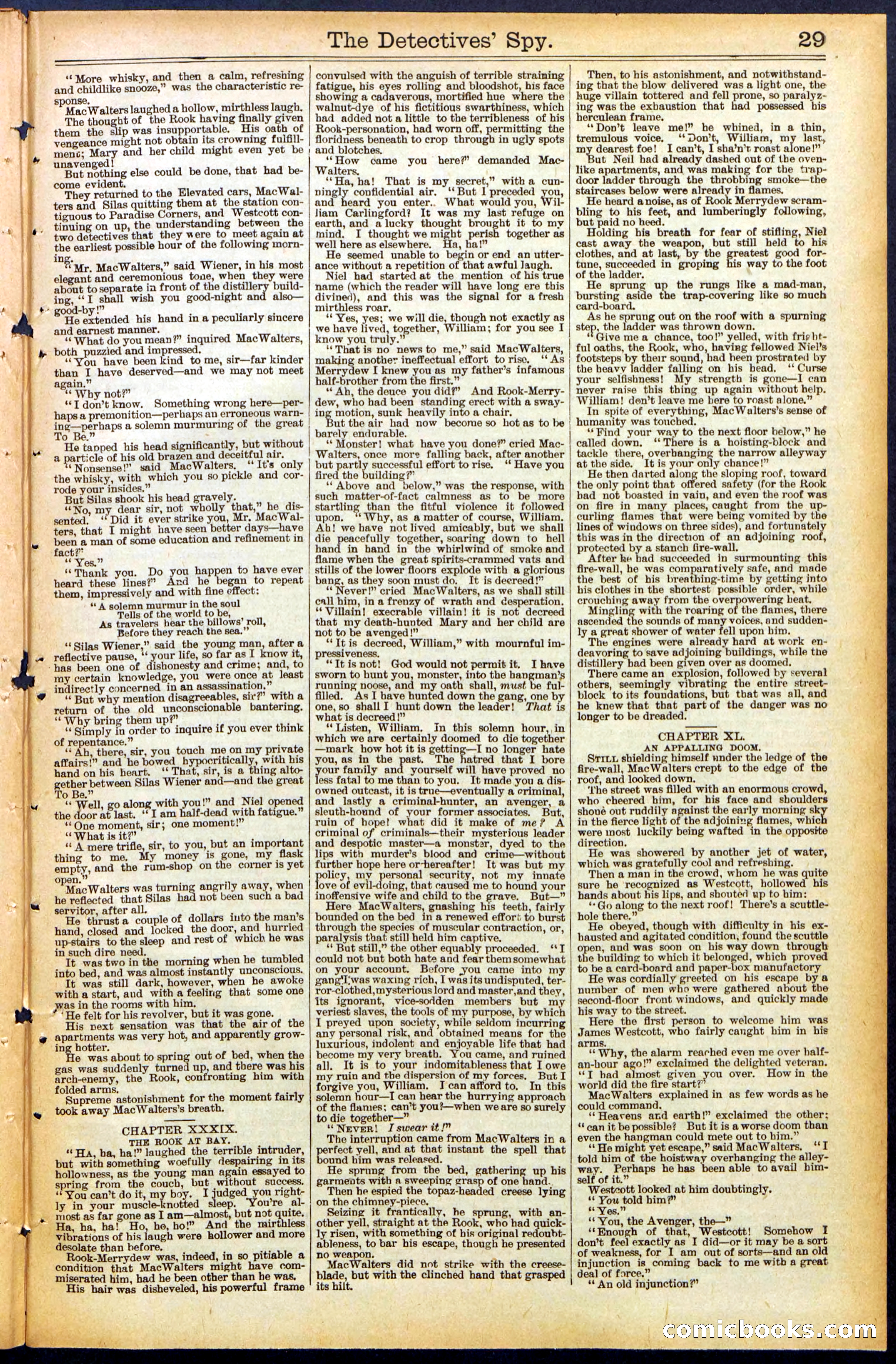 Beadle's Dime Library, No. 494 — page 29 of 32