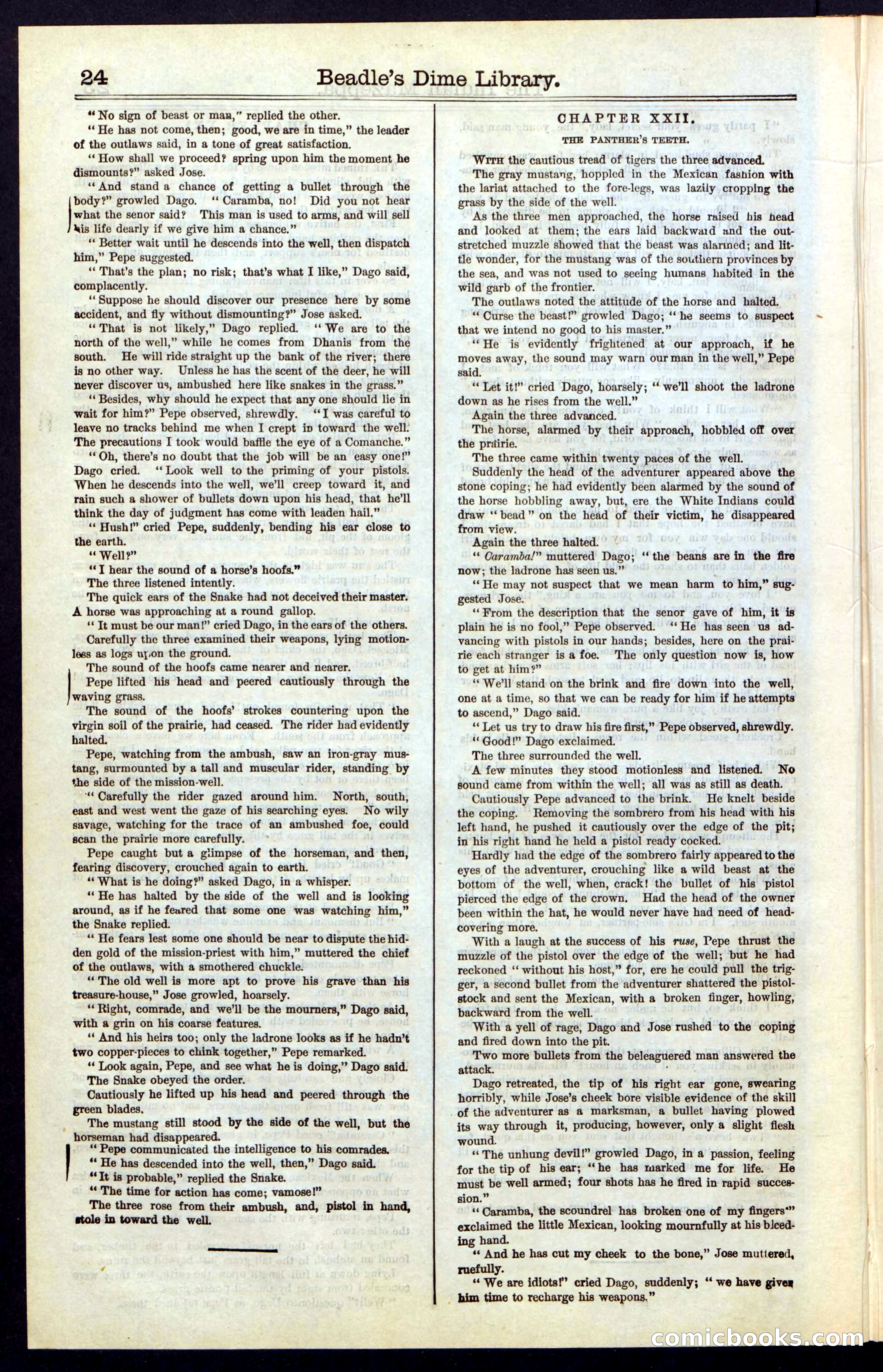 The Indian Mazeppa: or, The Madman of the Plains — page 24 of 48