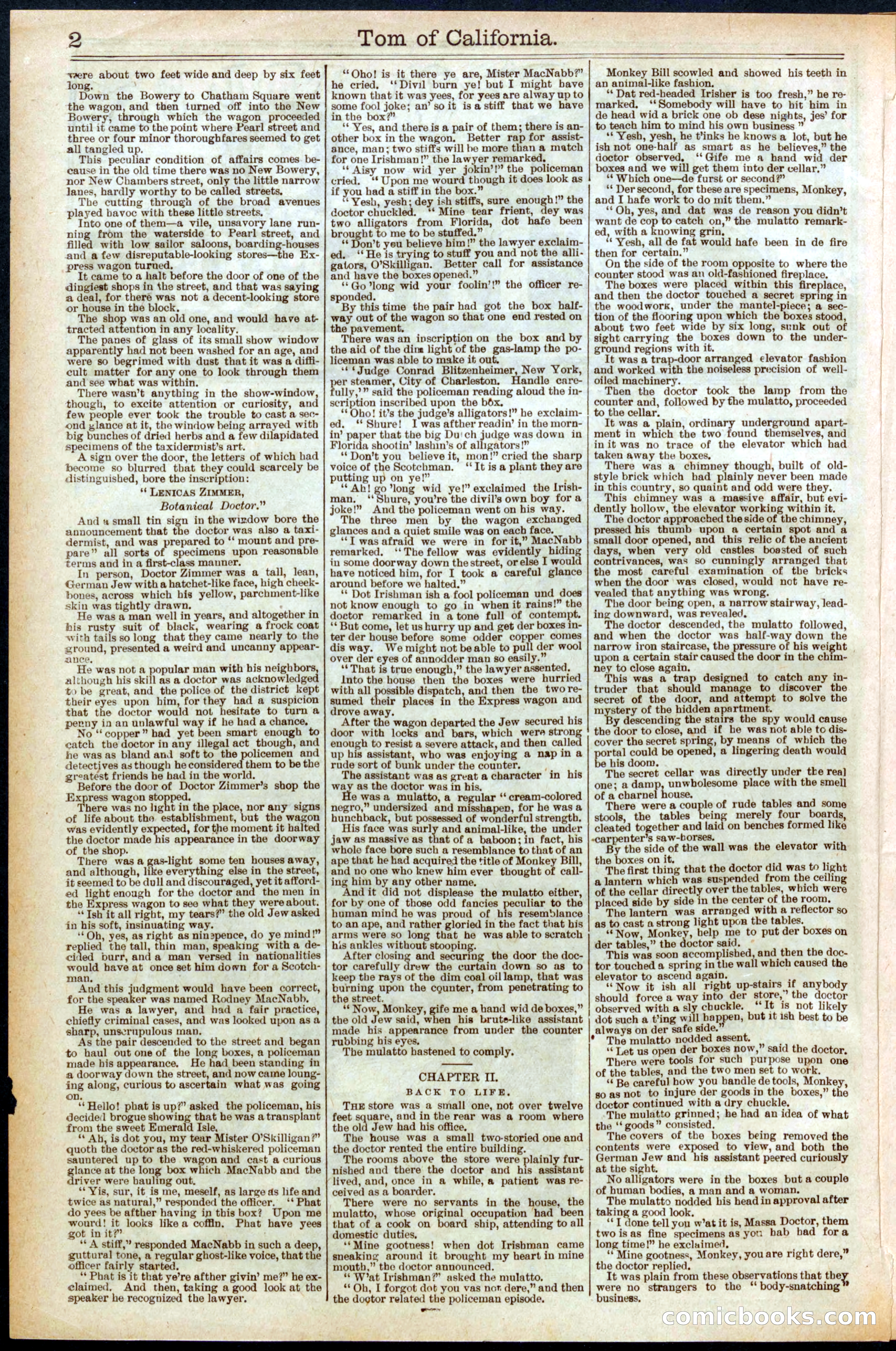 Beadle's Dime New York Library, No. 577 — page 2 of 32
