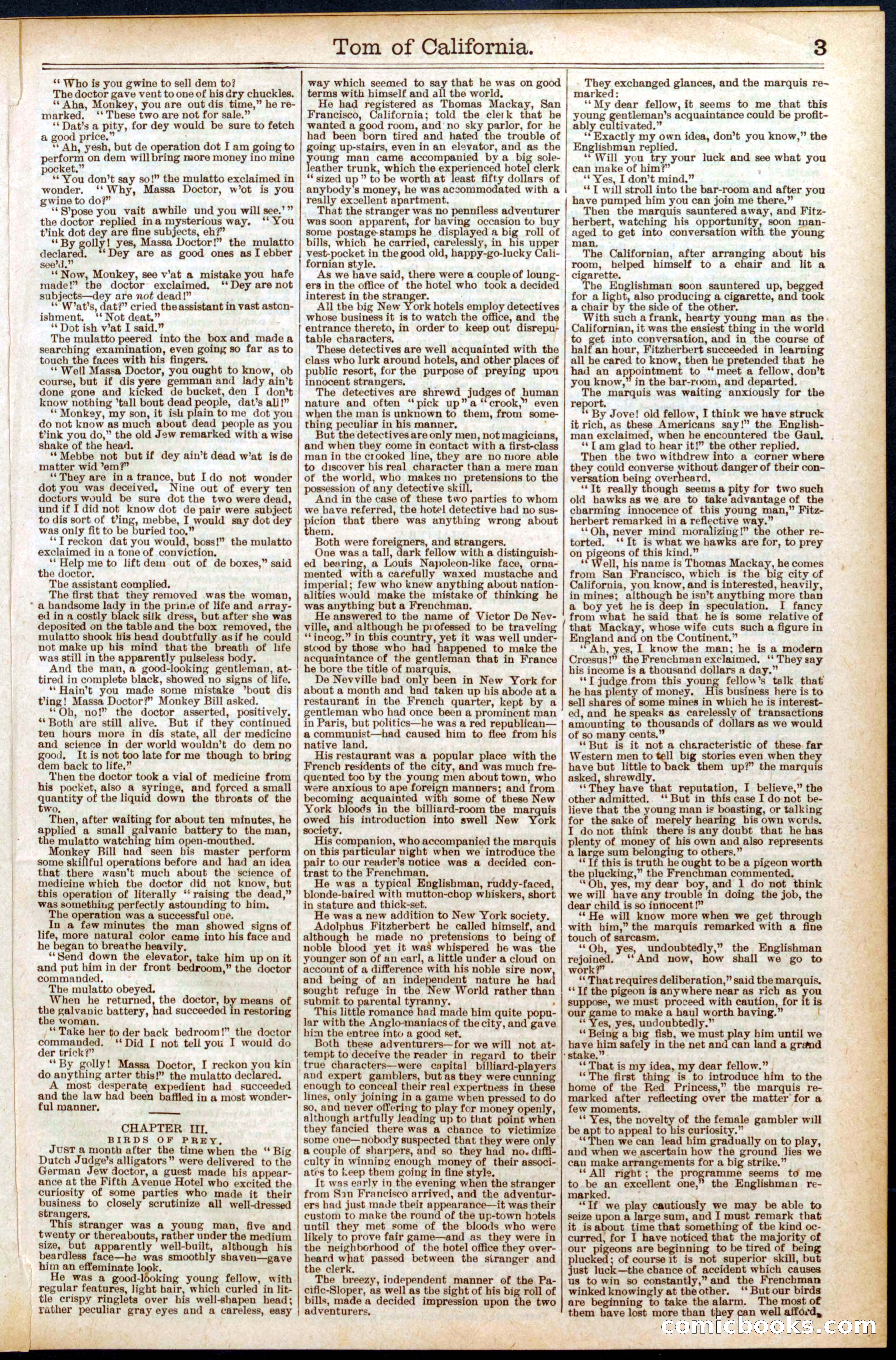 Beadle's Dime New York Library, No. 577 — page 3 of 32