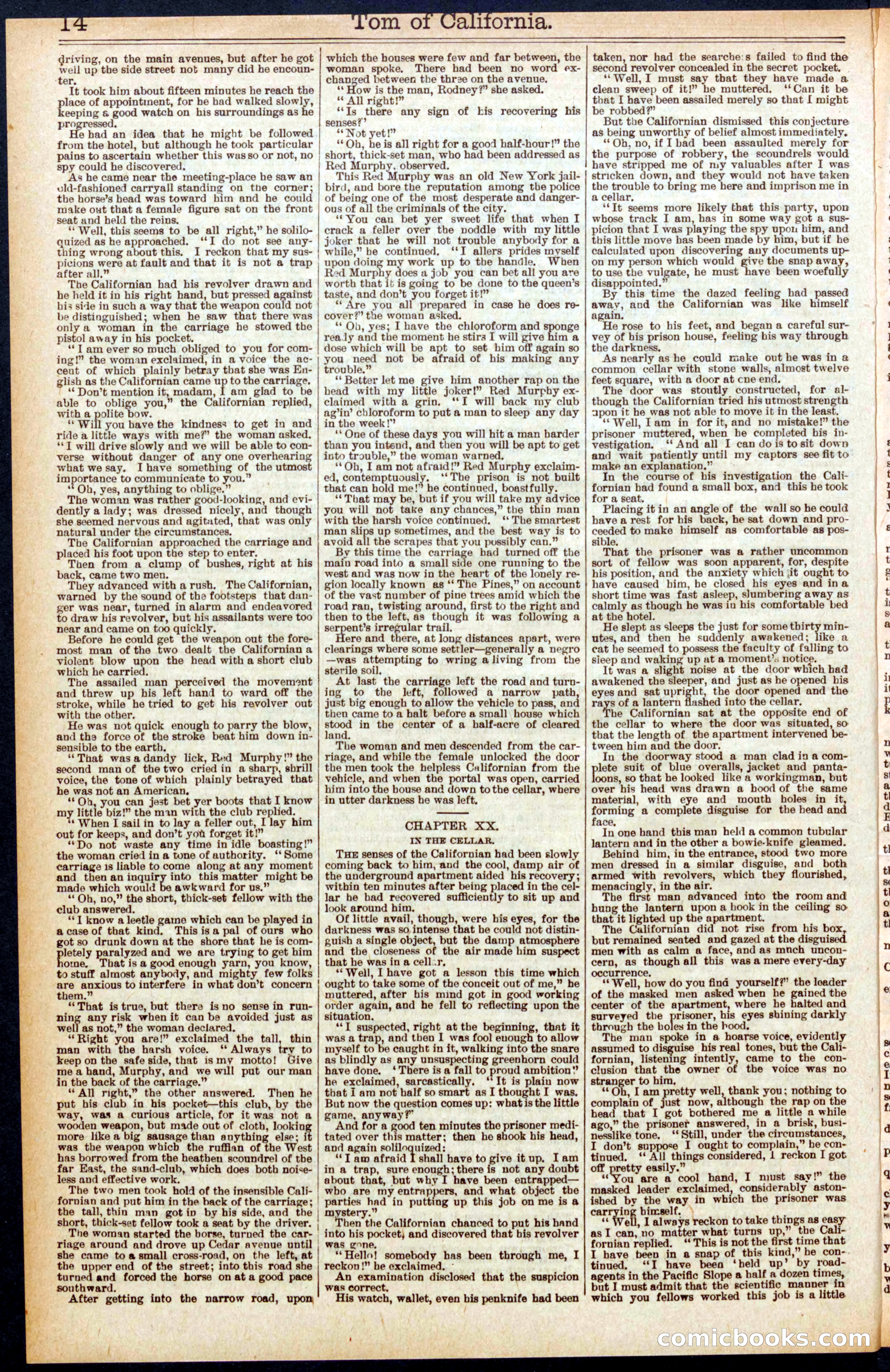 Beadle's Dime New York Library, No. 577 — page 14 of 32