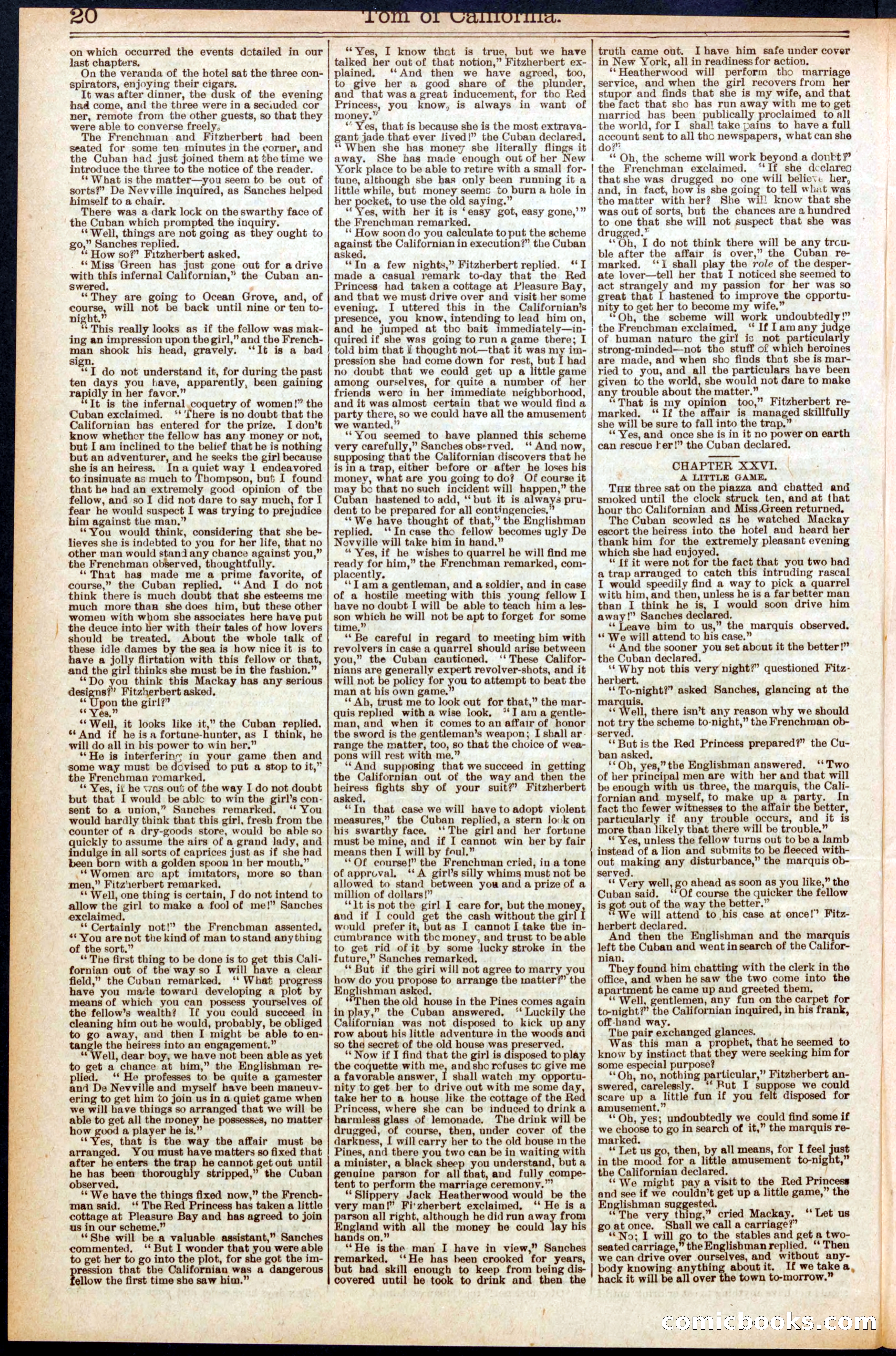 Beadle's Dime New York Library, No. 577 — page 20 of 32