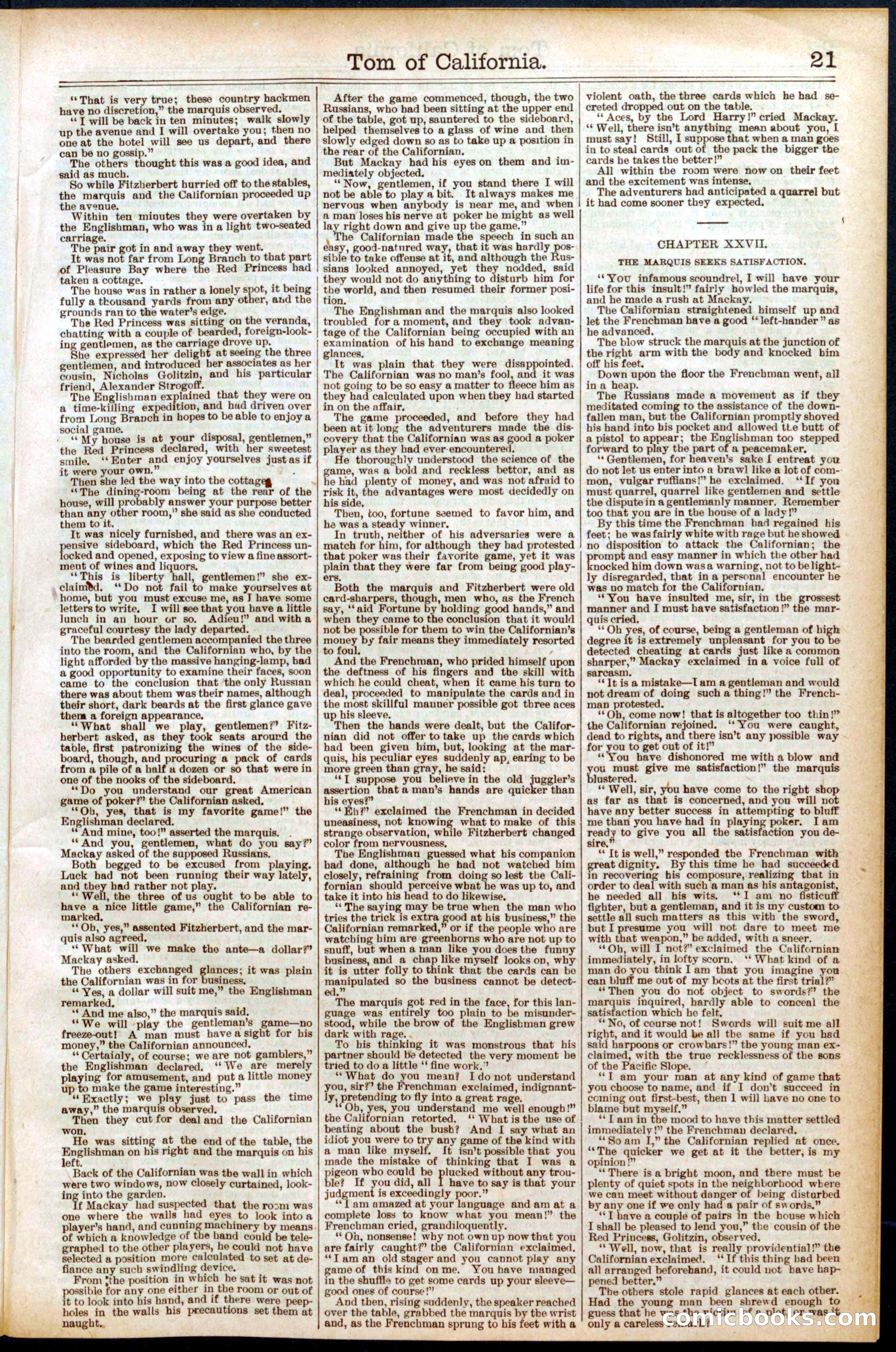 Beadle's Dime New York Library, No. 577 — page 21 of 32