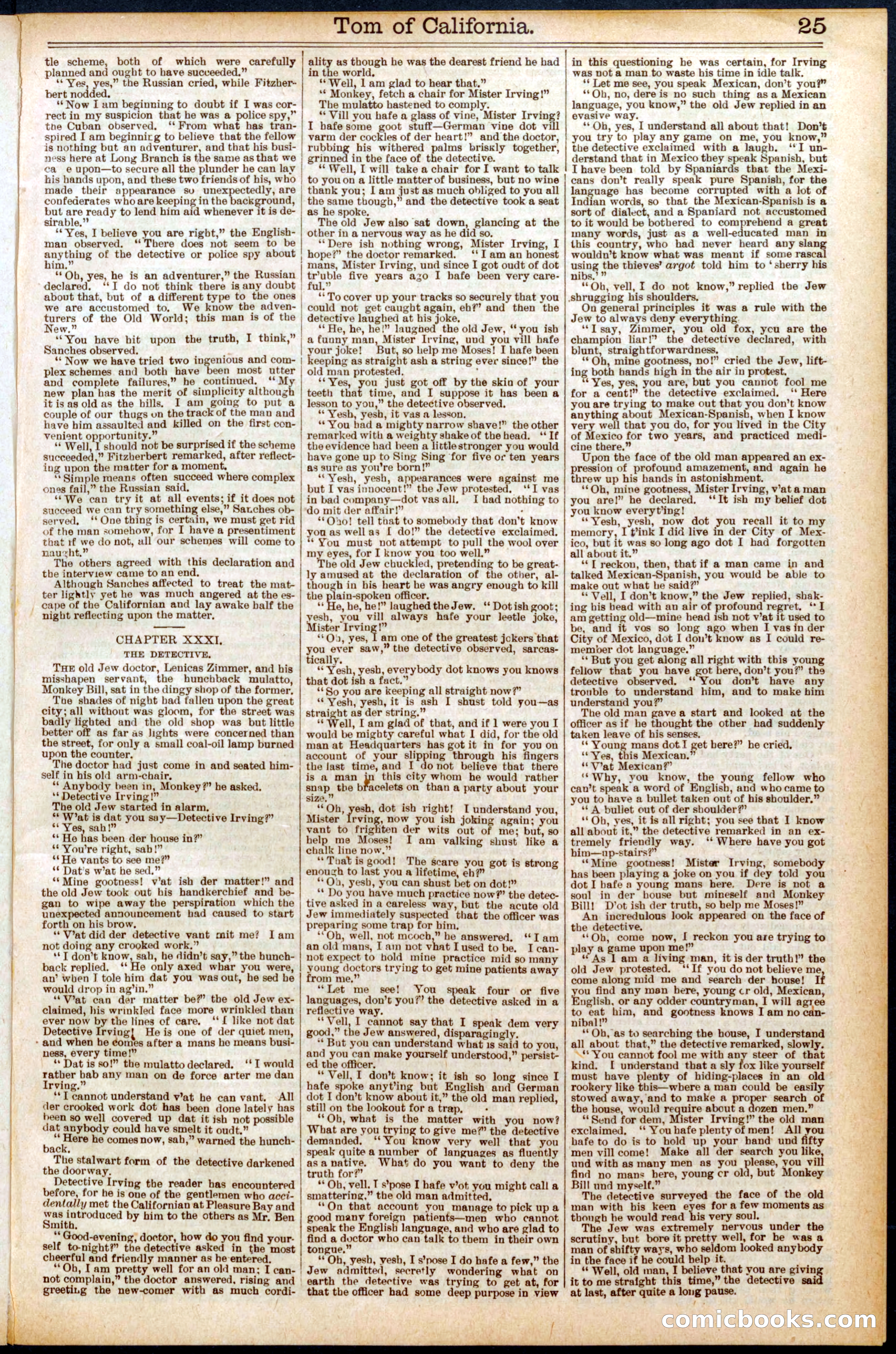 Beadle's Dime New York Library, No. 577 — page 25 of 32