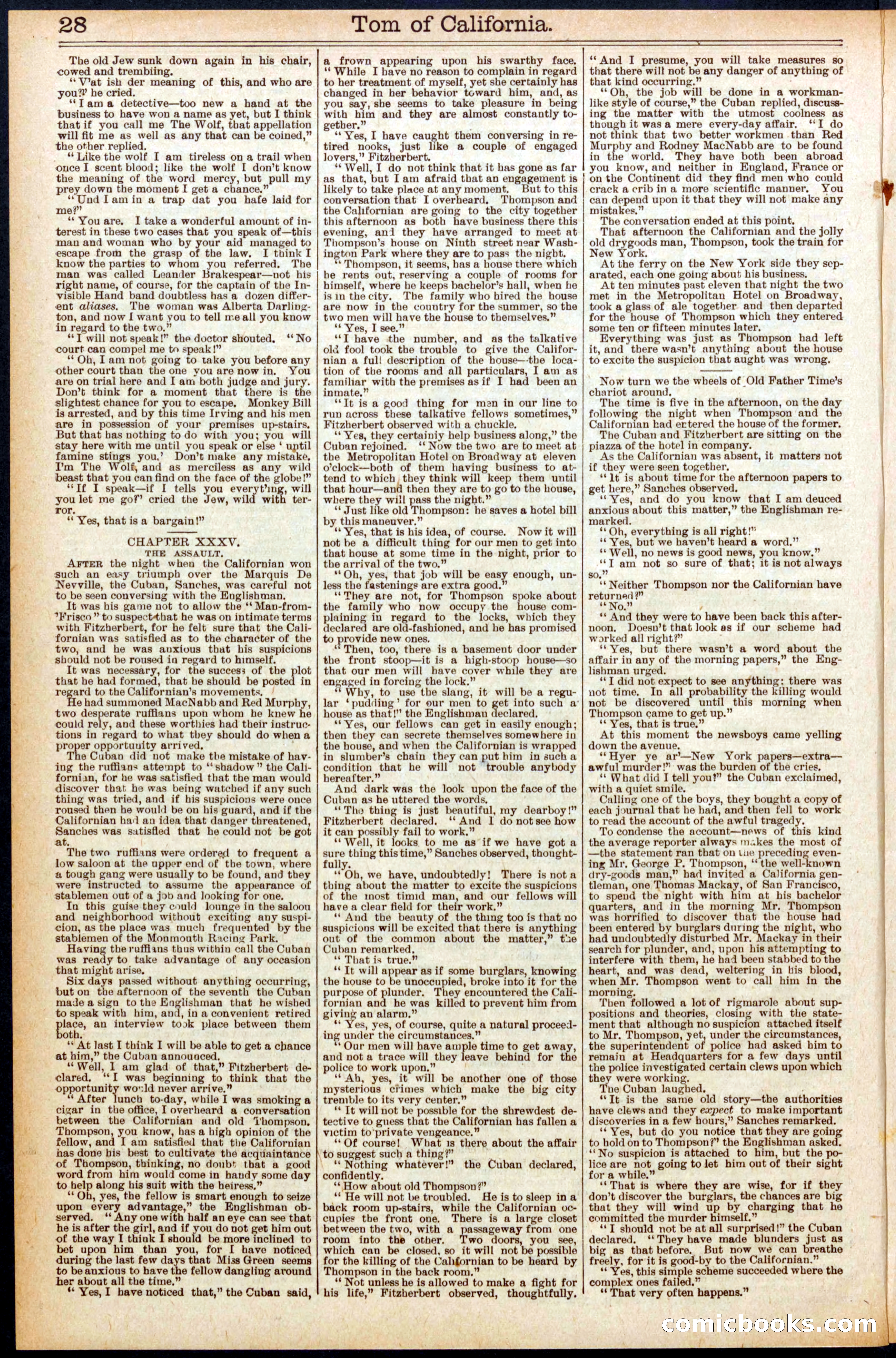 Beadle's Dime New York Library, No. 577 — page 28 of 32