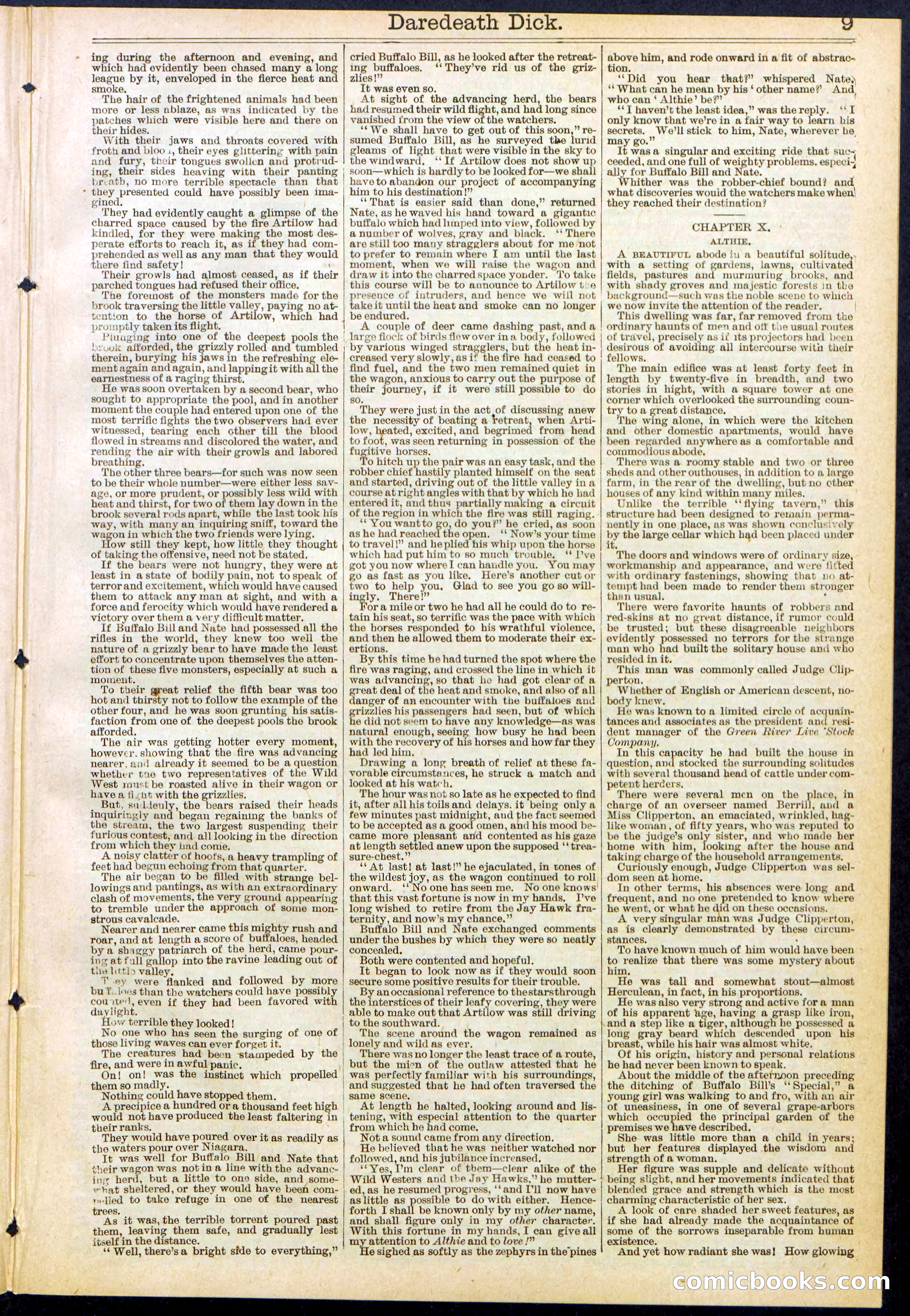 Beadle's Dime Library No. 629: Daredevil Dick, King of the Cowboys — page 9 of 32