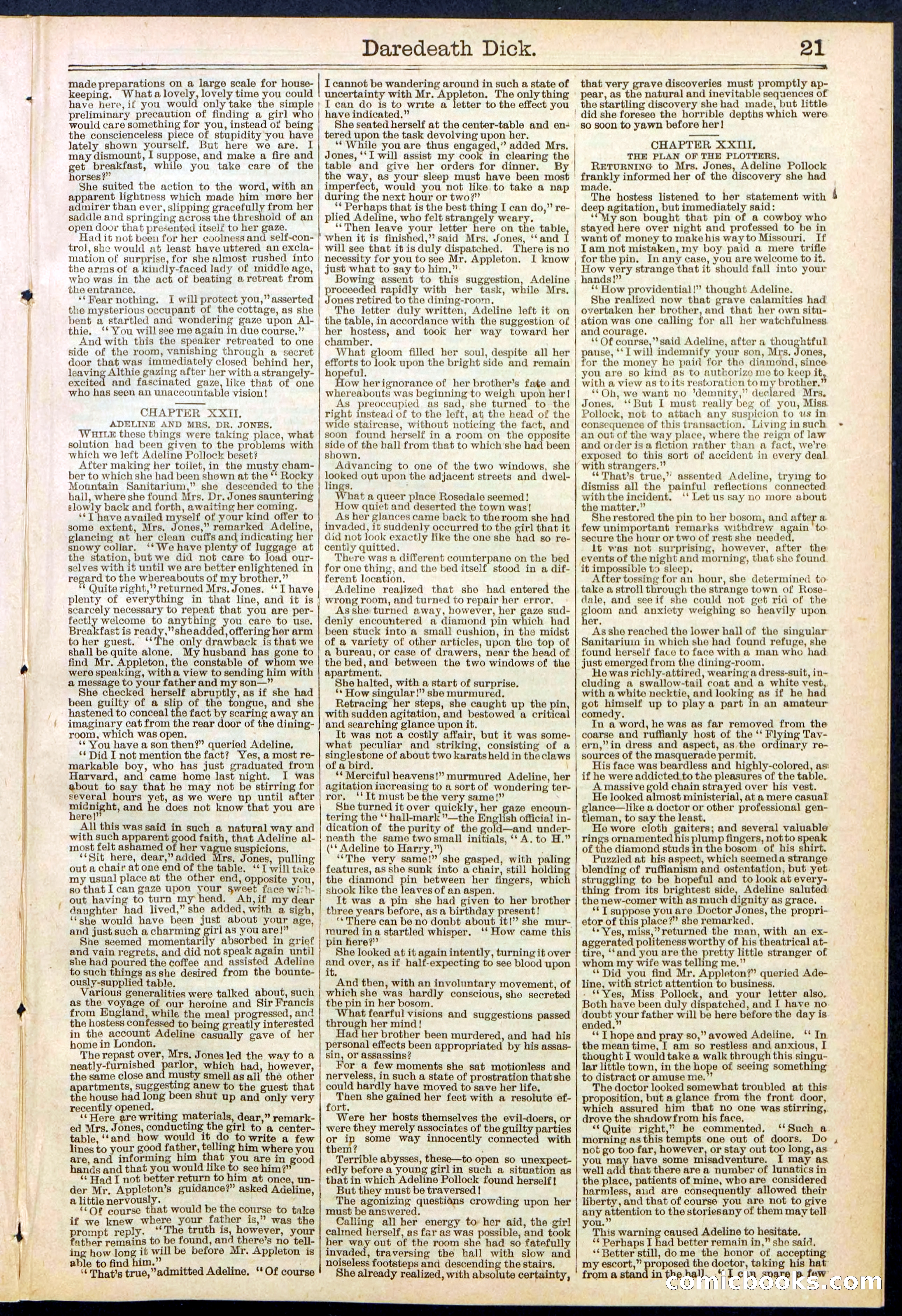 Beadle's Dime Library No. 629: Daredevil Dick, King of the Cowboys — page 21 of 32
