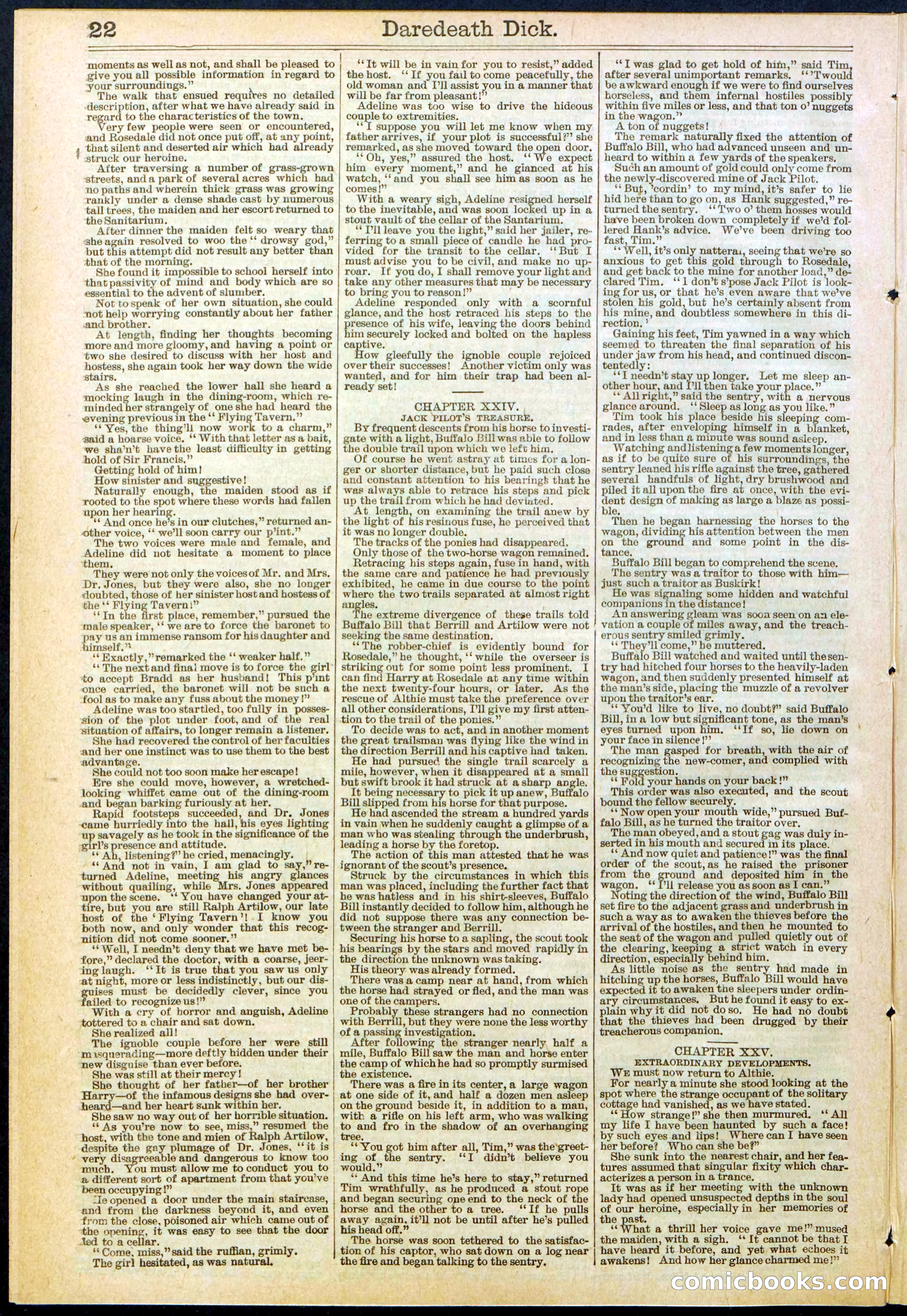 Beadle's Dime Library No. 629: Daredevil Dick, King of the Cowboys — page 22 of 32