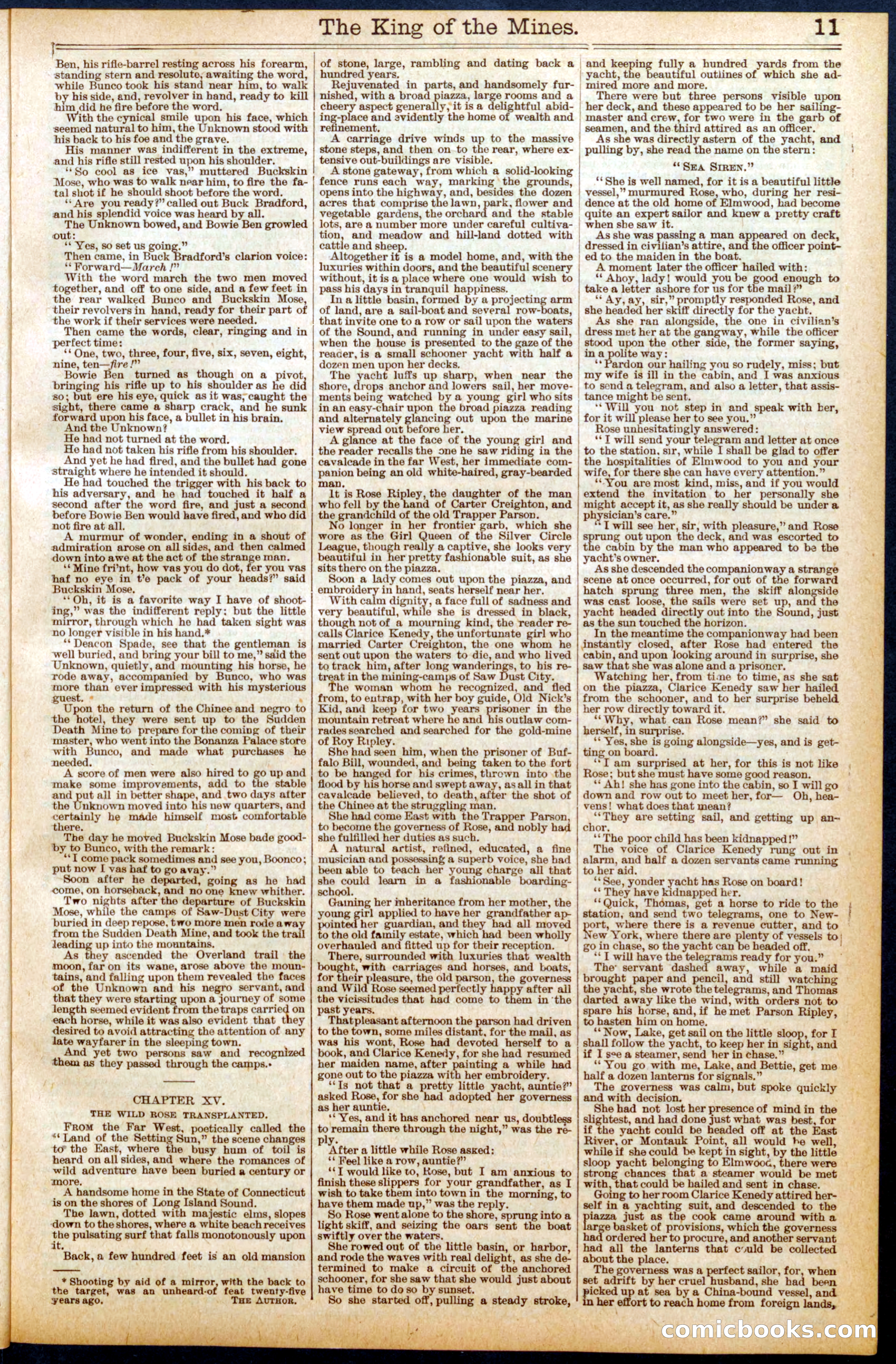 Buffalo Bill's Swoop by Colonel Prentiss Ingraham — page 11 of 32