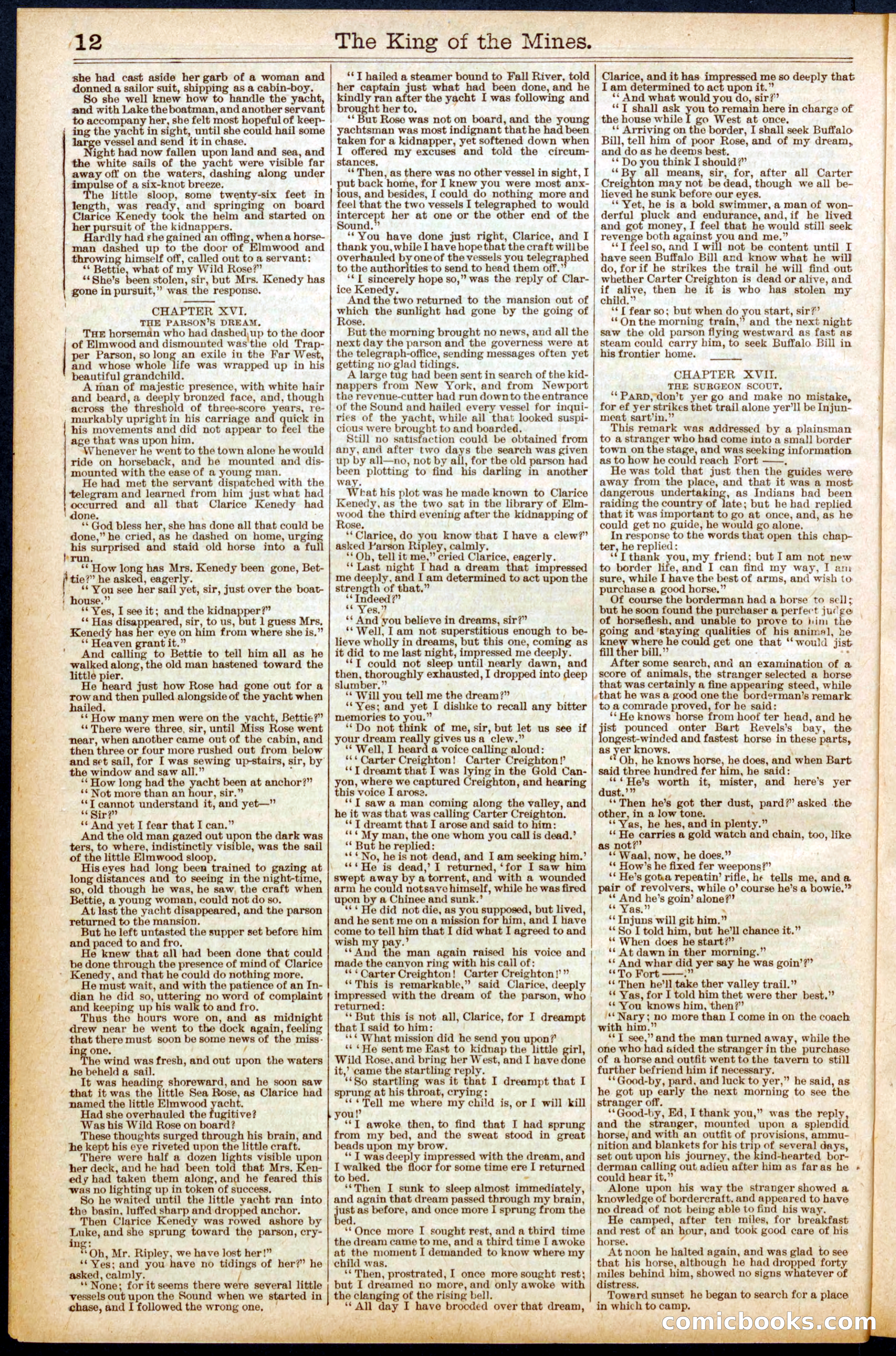 Buffalo Bill's Swoop by Colonel Prentiss Ingraham — page 12 of 32
