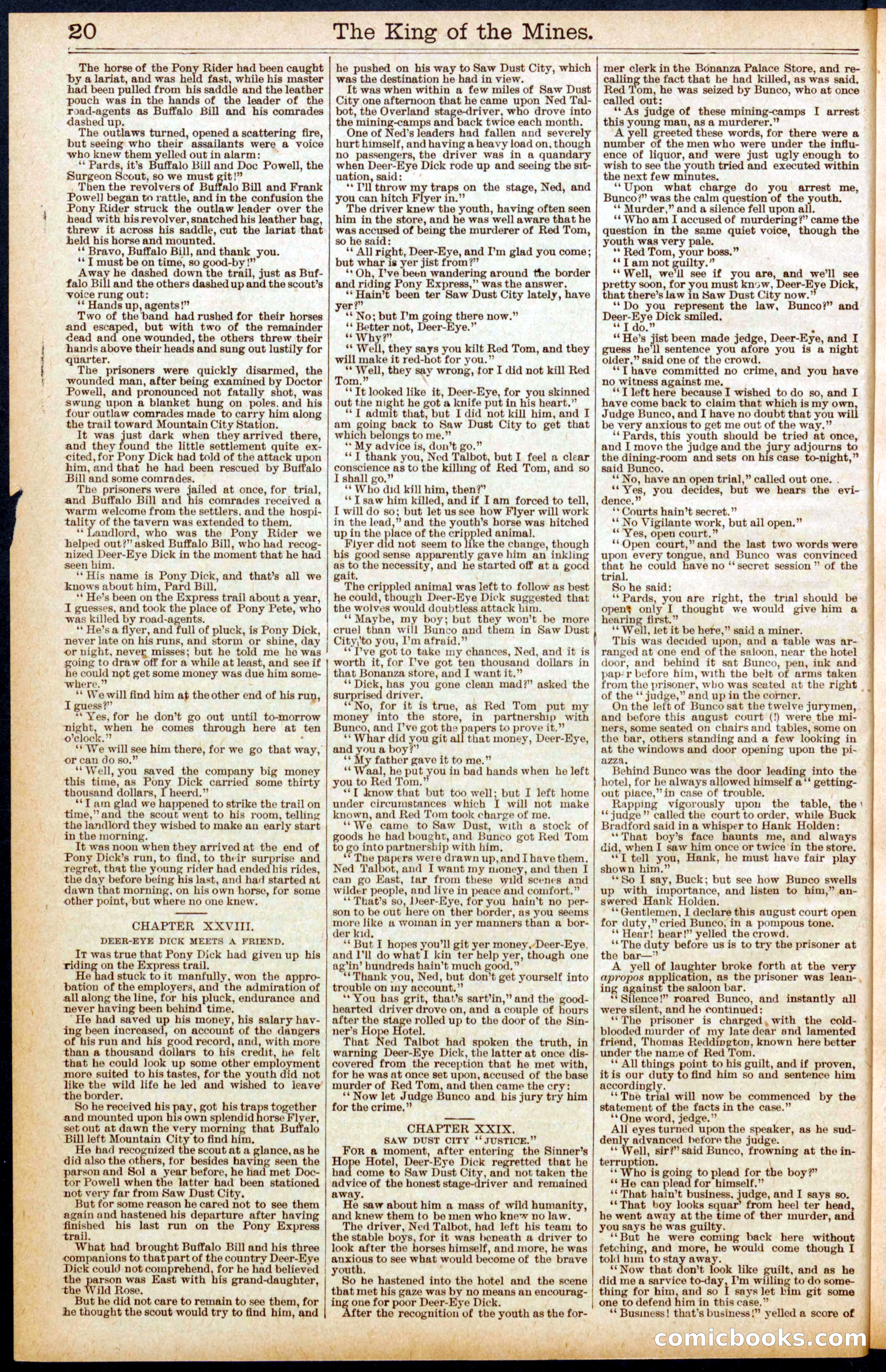 Buffalo Bill's Swoop by Colonel Prentiss Ingraham — page 20 of 32