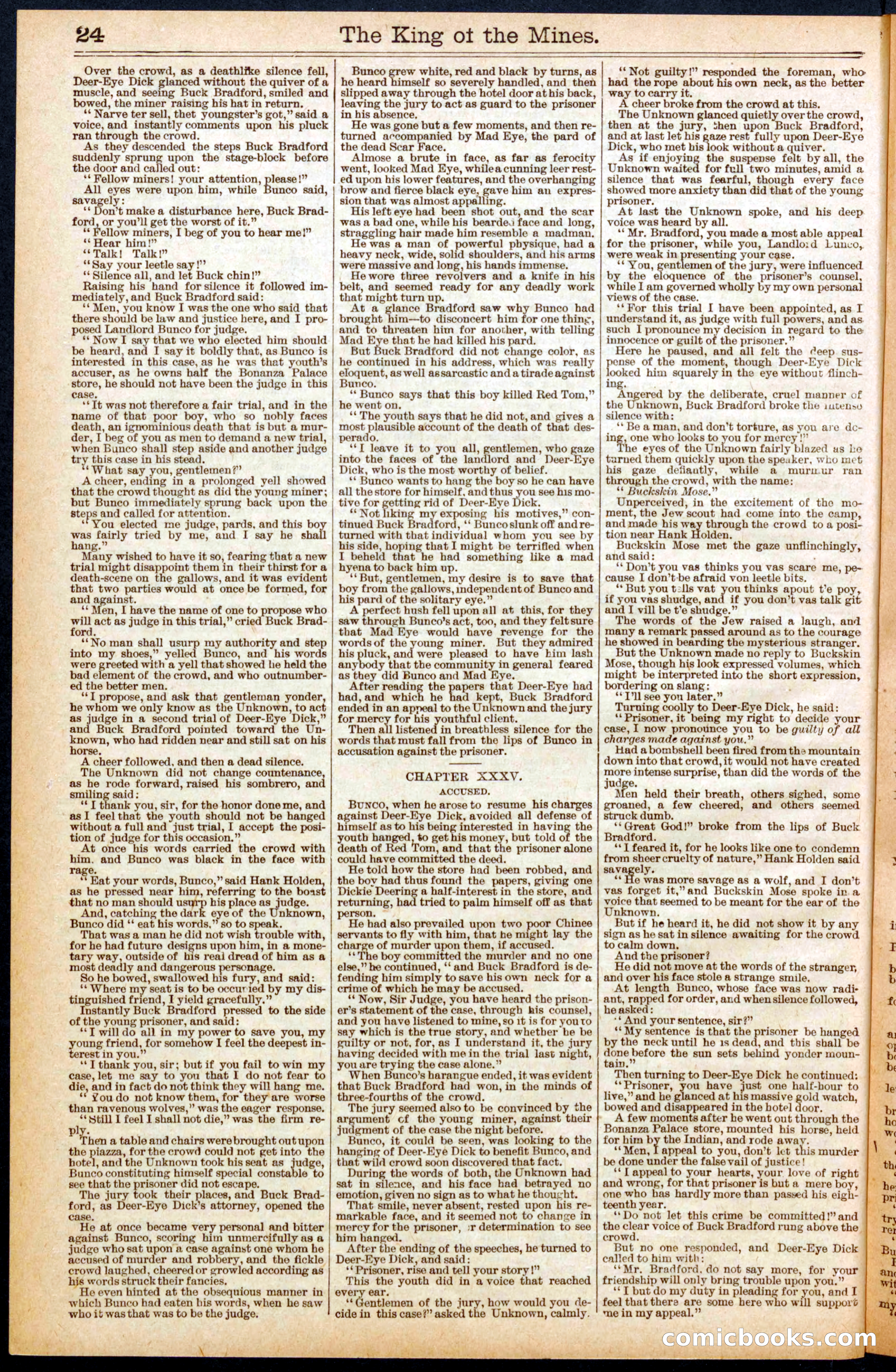 Buffalo Bill's Swoop by Colonel Prentiss Ingraham — page 24 of 32