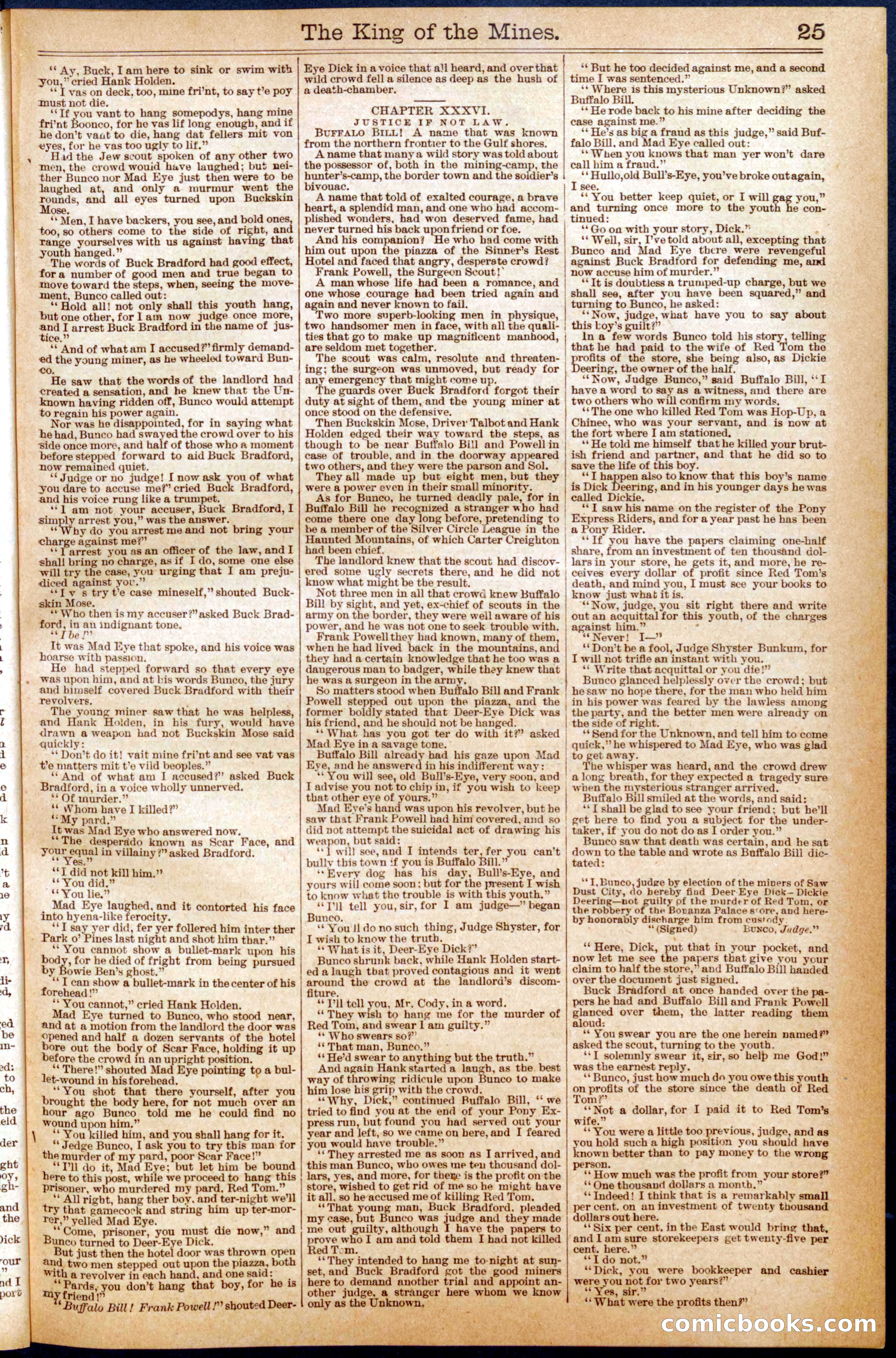 Buffalo Bill's Swoop by Colonel Prentiss Ingraham — page 25 of 32