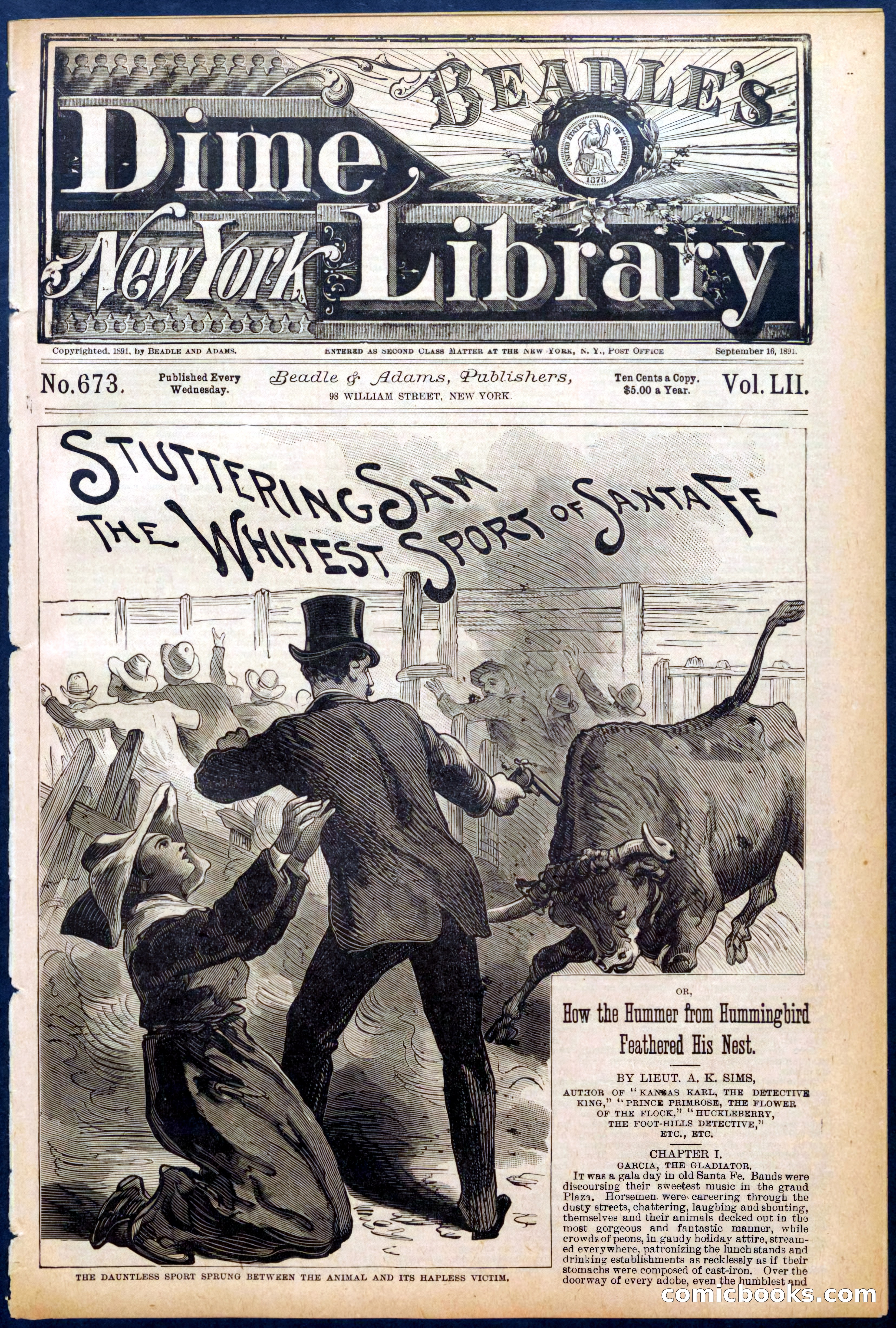 Beadle's New York Dime Library No. 673