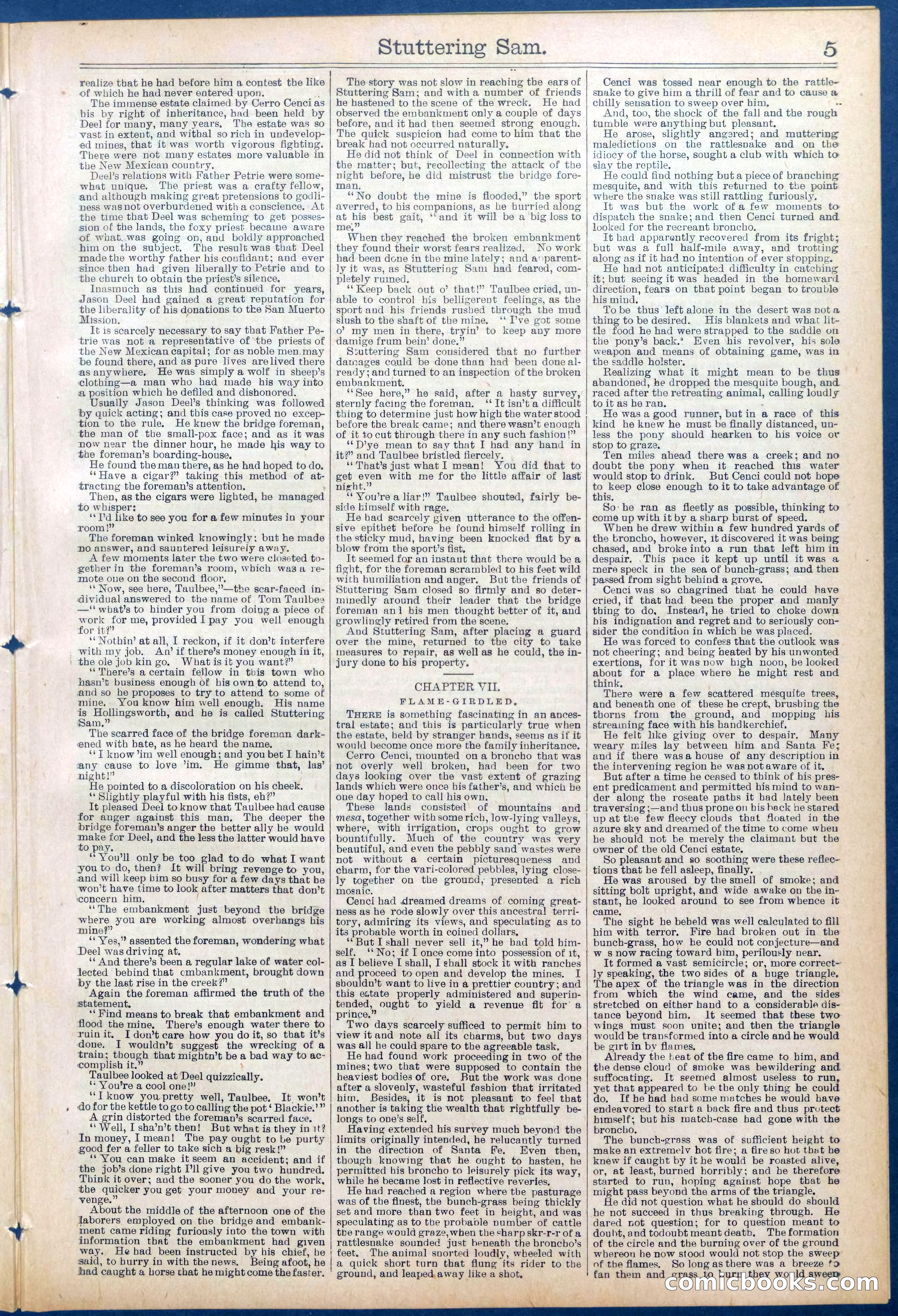 Beadle's New York Dime Library No. 673 — page 5 of 32