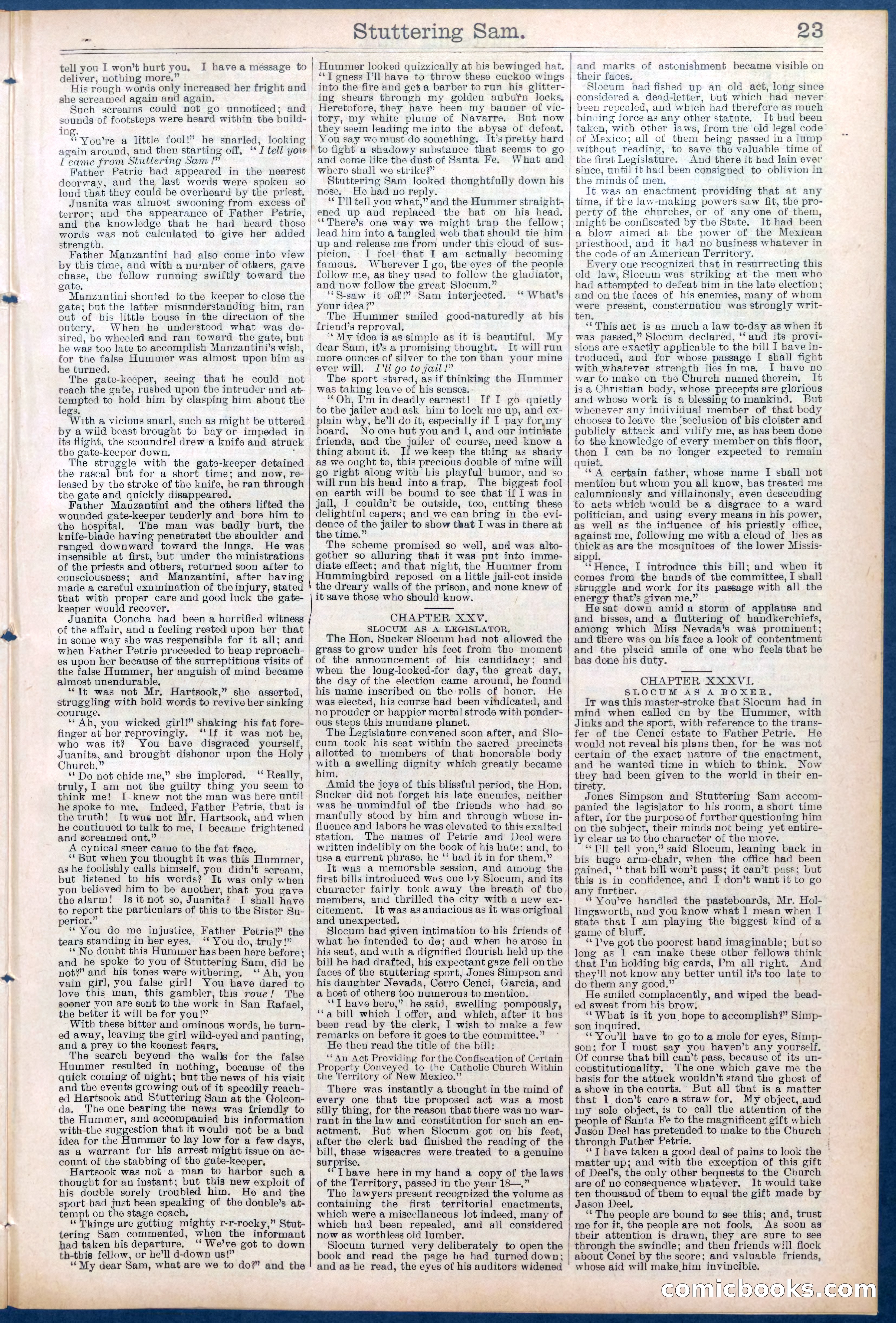 Beadle's New York Dime Library No. 673 — page 23 of 32