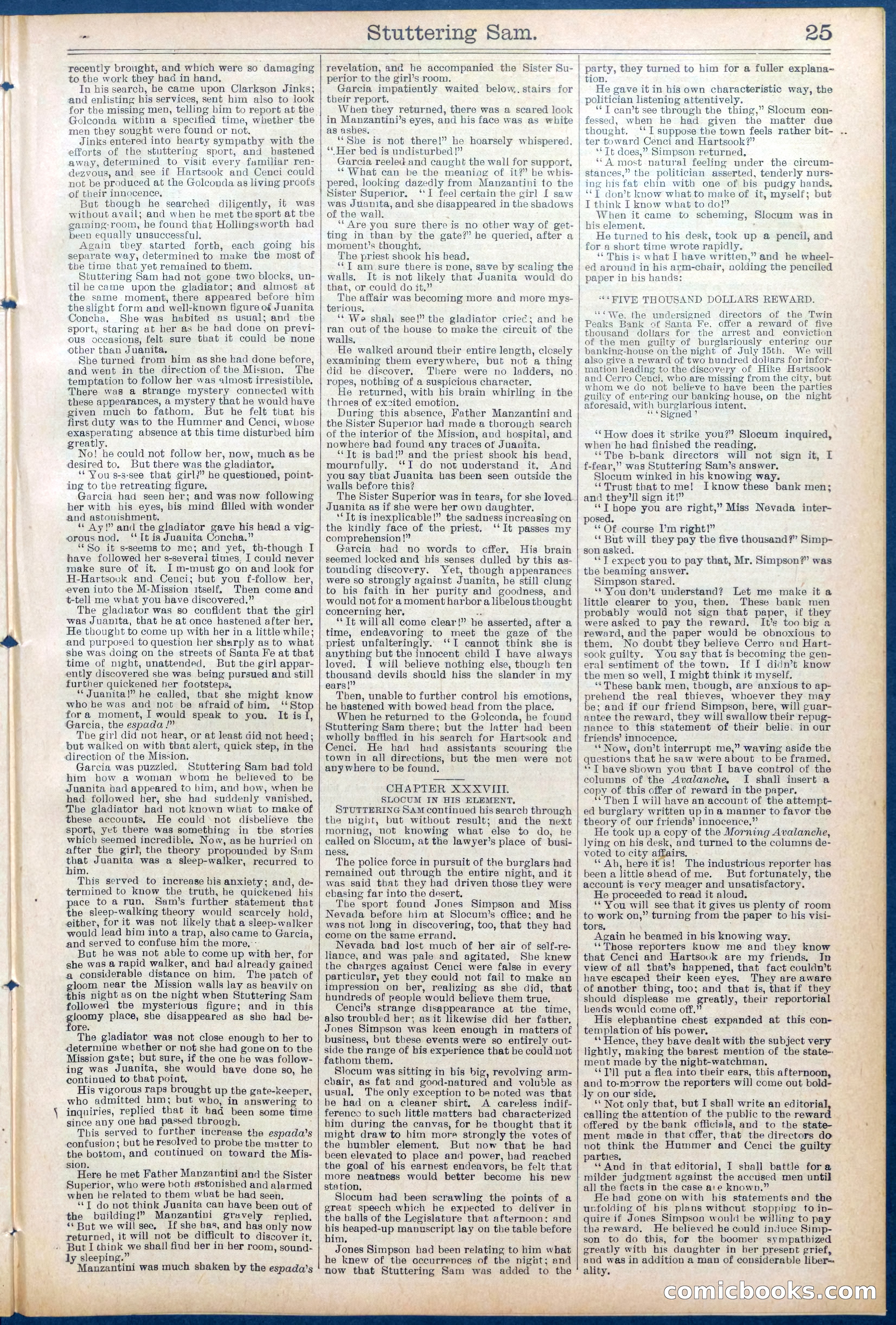 Beadle's New York Dime Library No. 673 — page 25 of 32