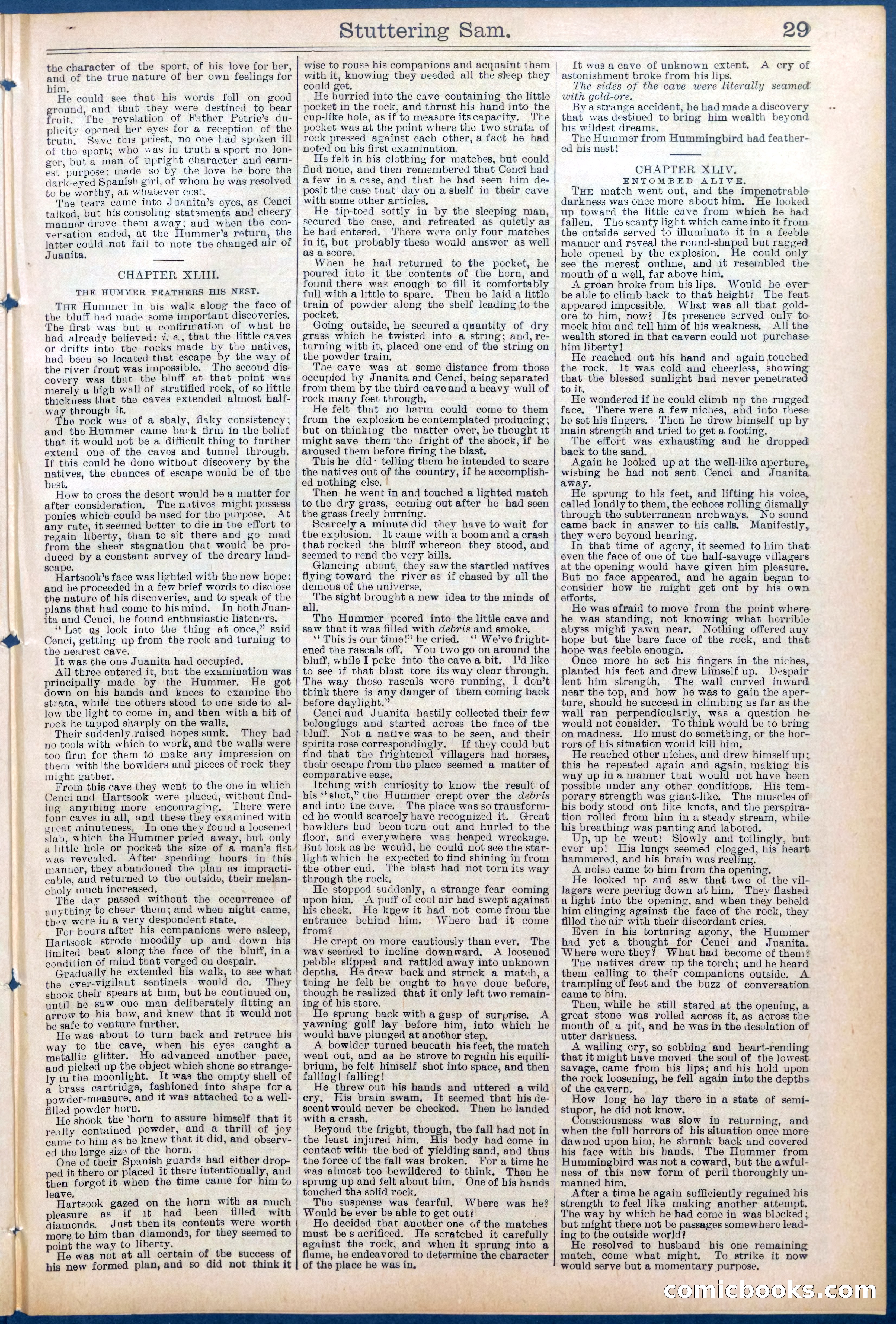 Beadle's New York Dime Library No. 673 — page 29 of 32