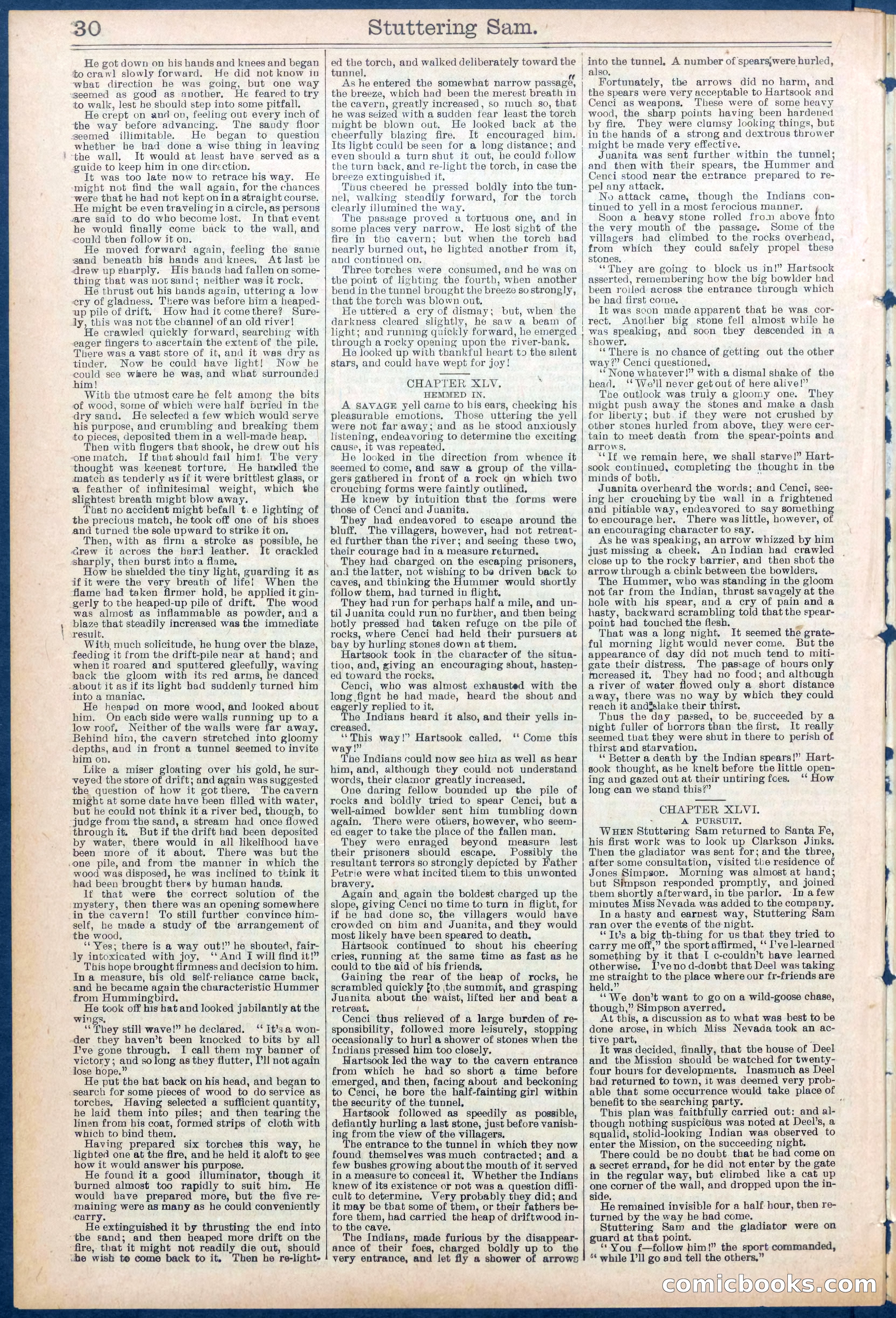 Beadle's New York Dime Library No. 673 — page 30 of 32
