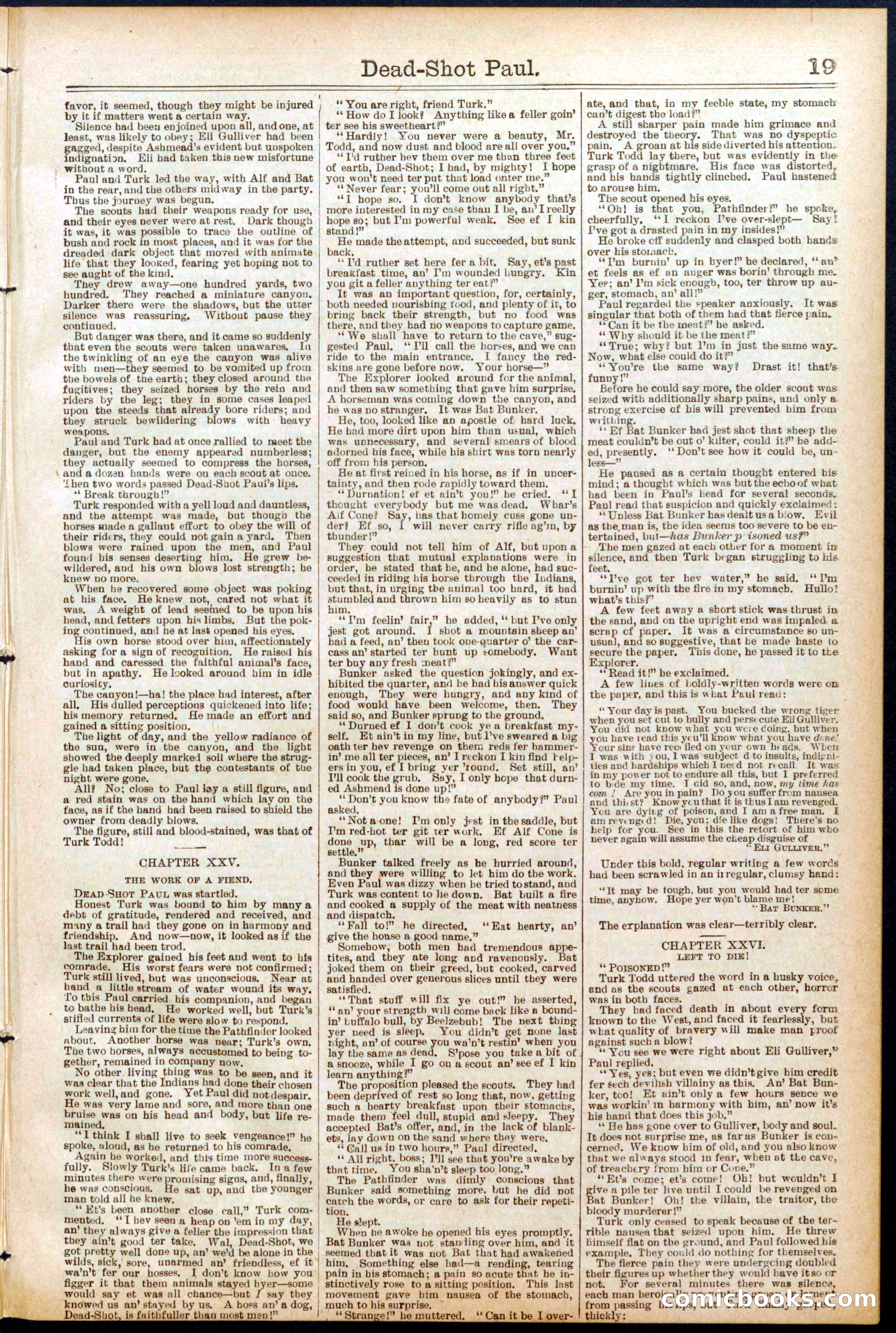 Beadle's New York Dime Library No. 692 — page 19 of 32