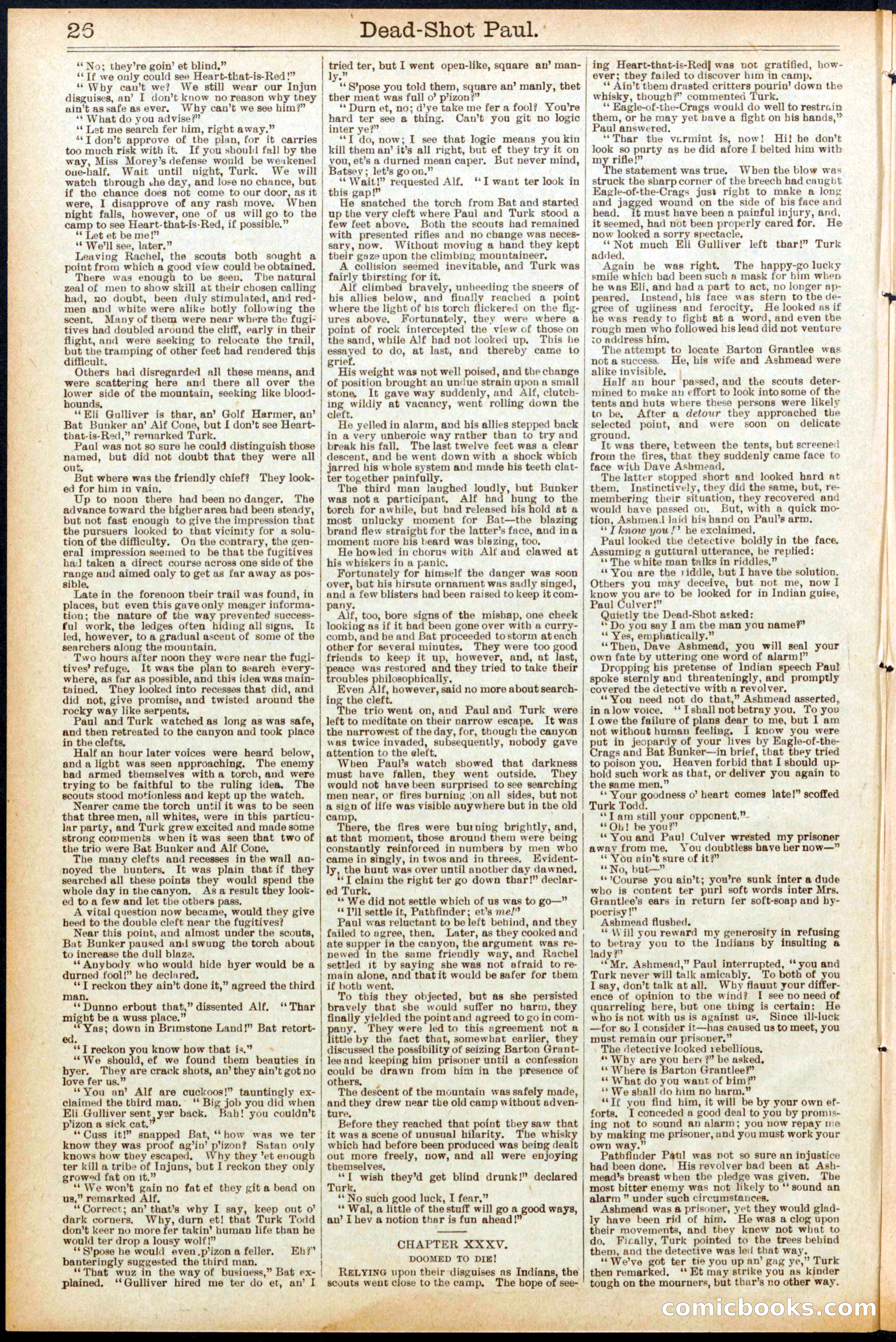 Beadle's New York Dime Library No. 692 — page 26 of 32