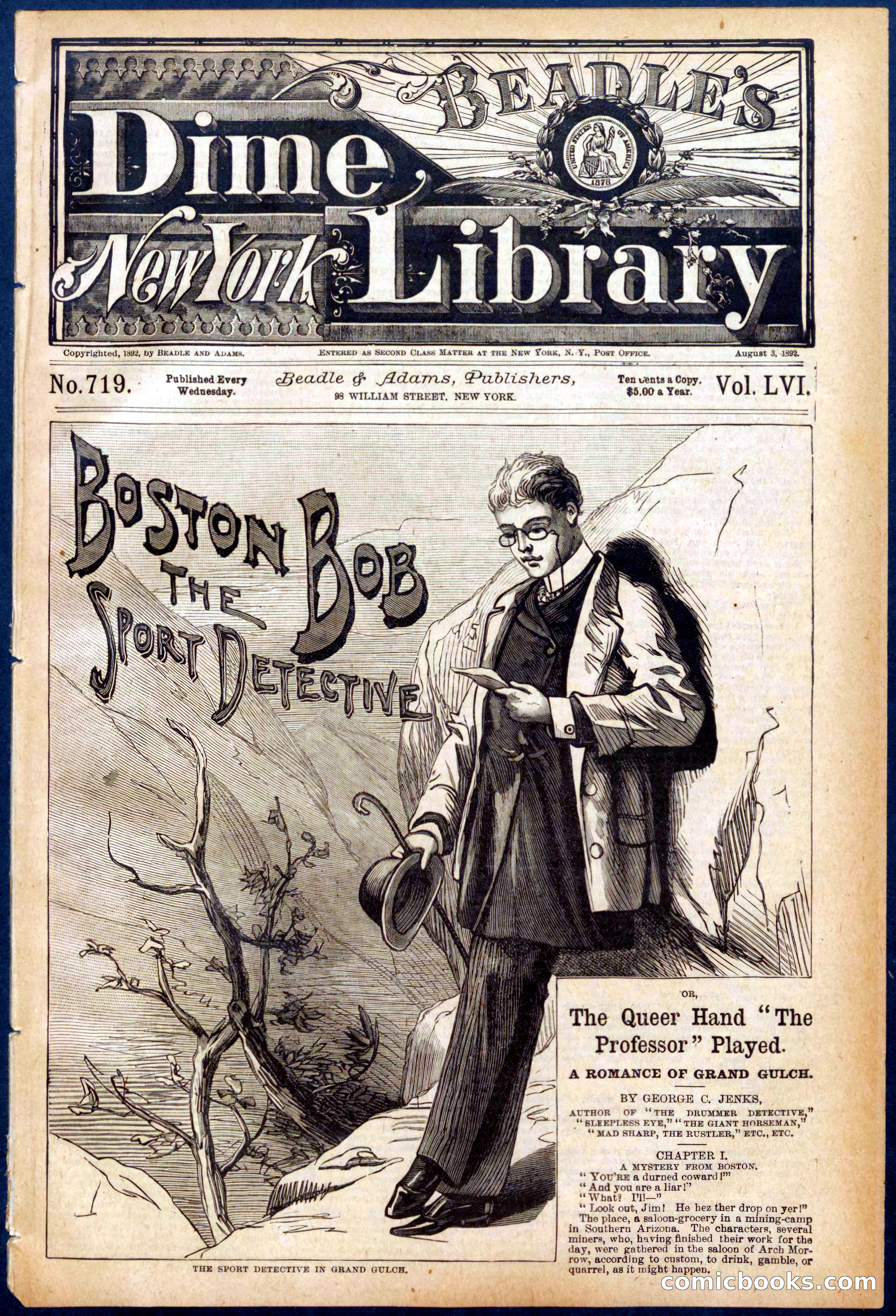 Beadle's Dime Library No. 719