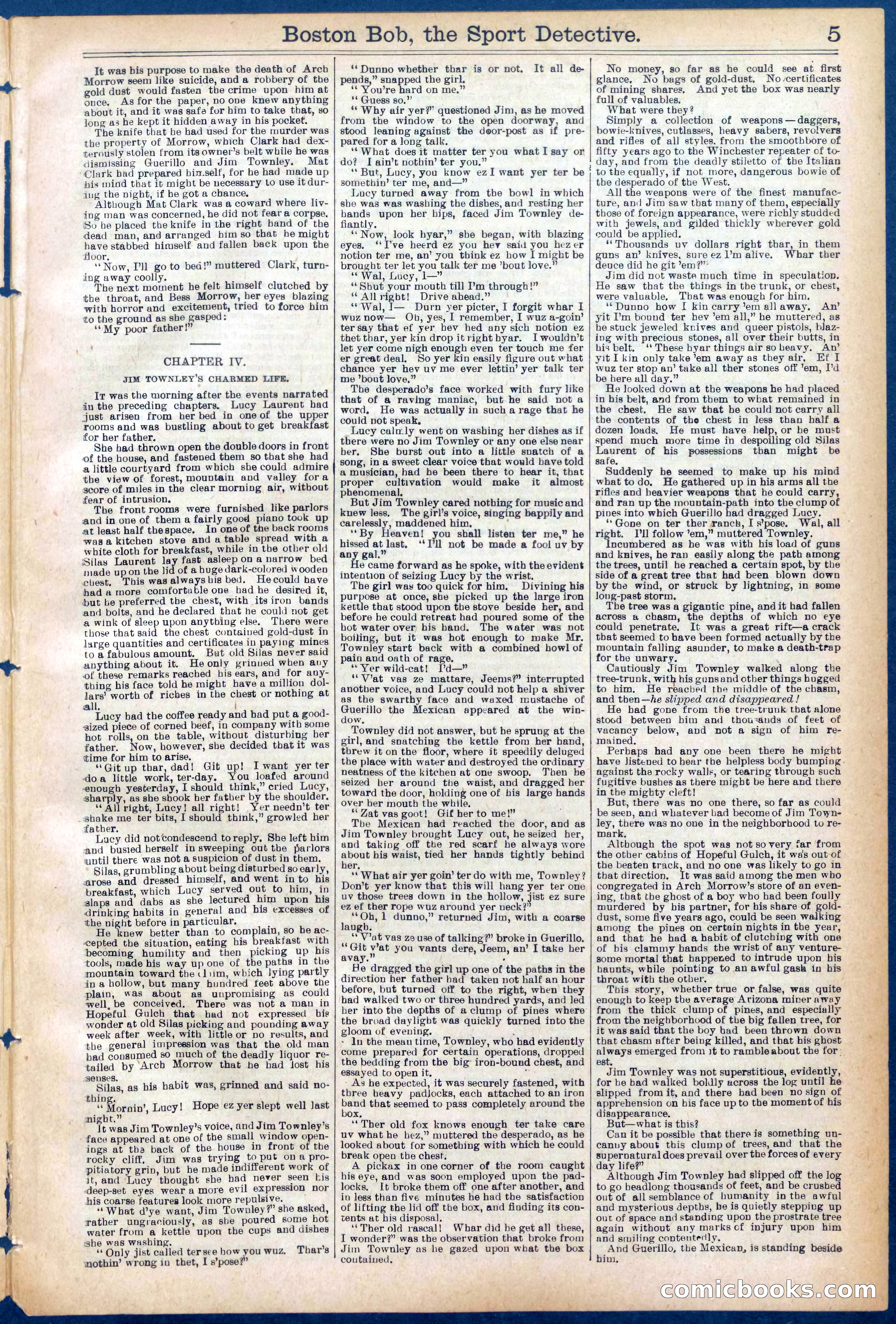 Beadle's Dime Library No. 719 — page 5 of 32