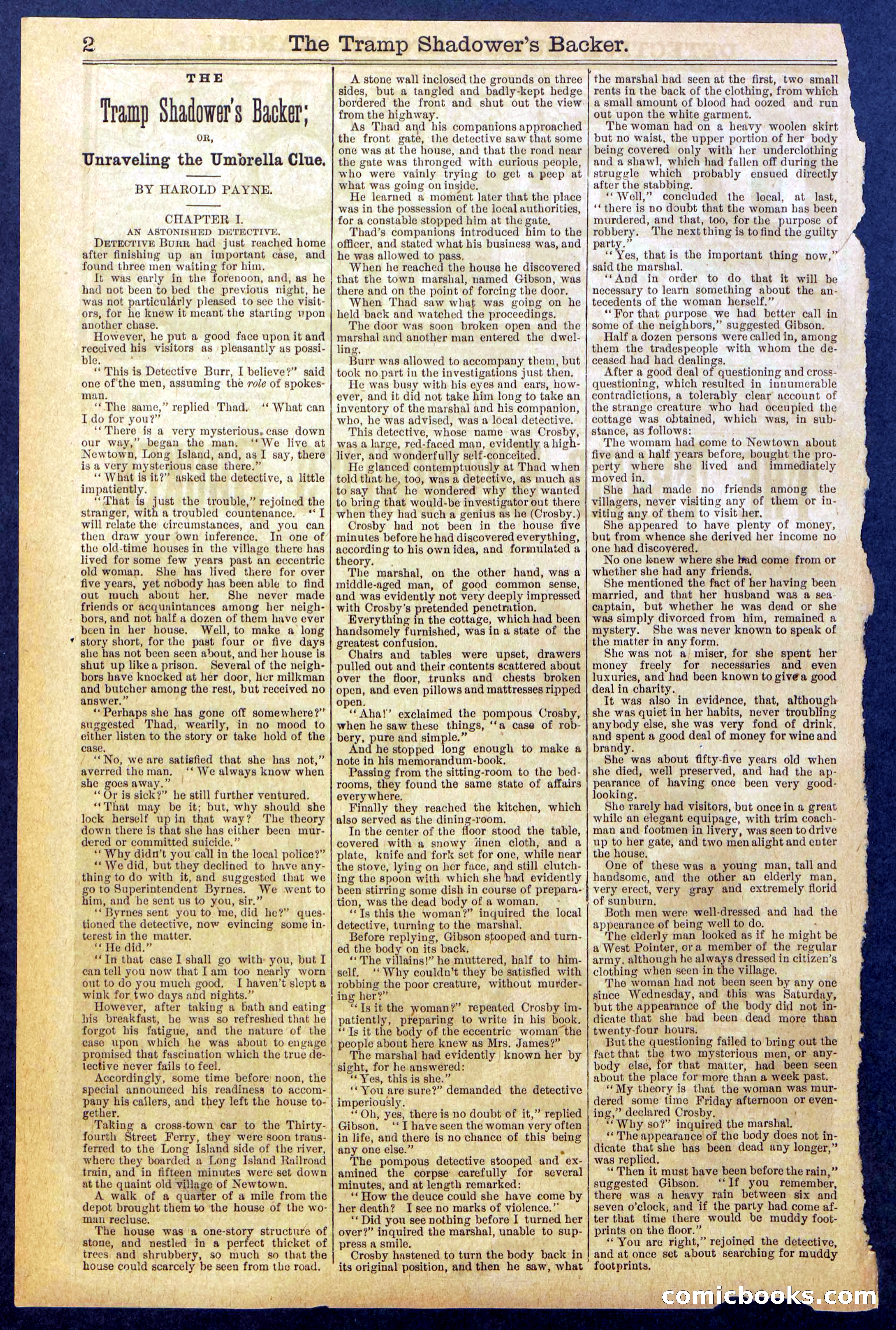 The Tramp Shadower's Backer — page 2 of 32