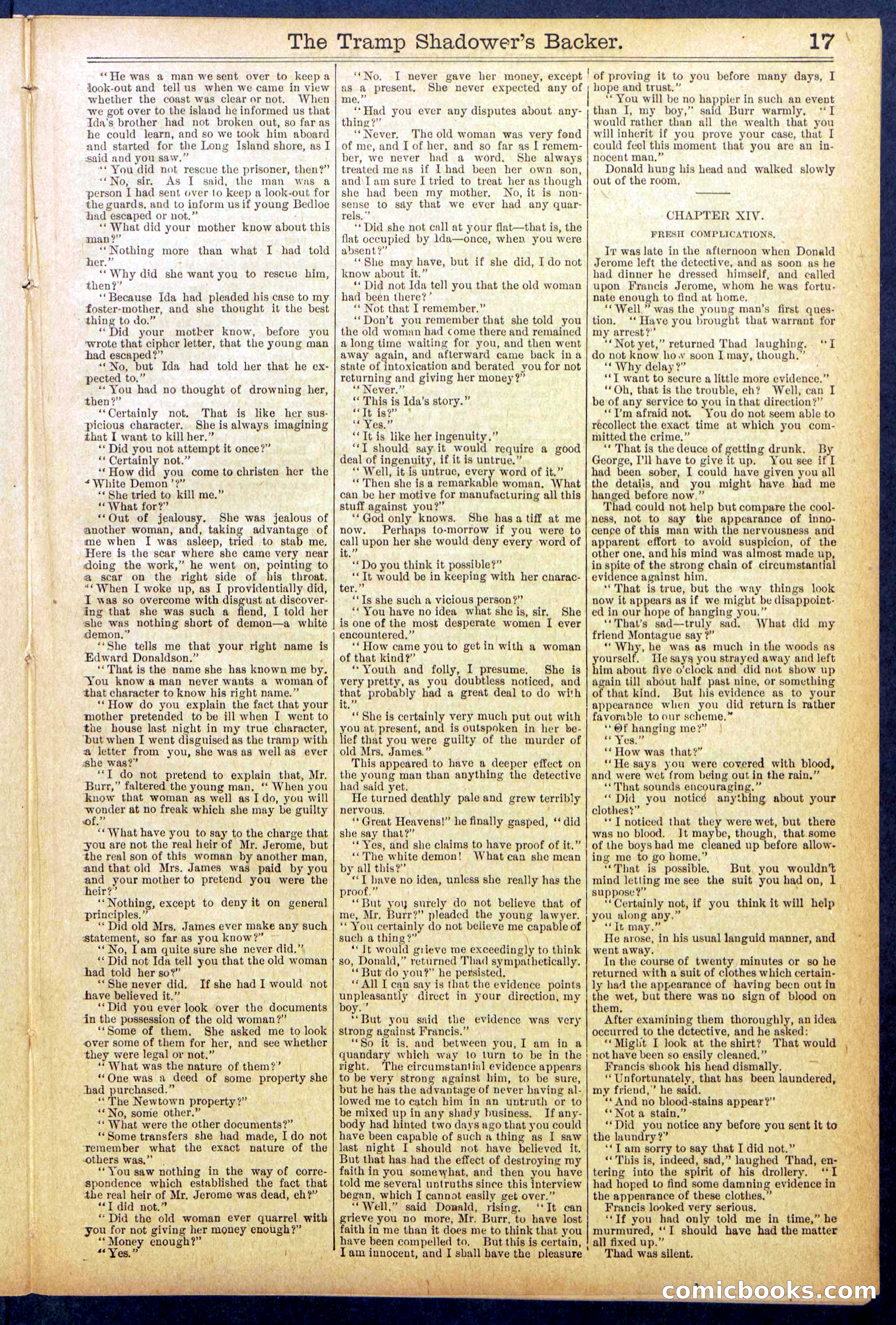 The Tramp Shadower's Backer — page 17 of 32