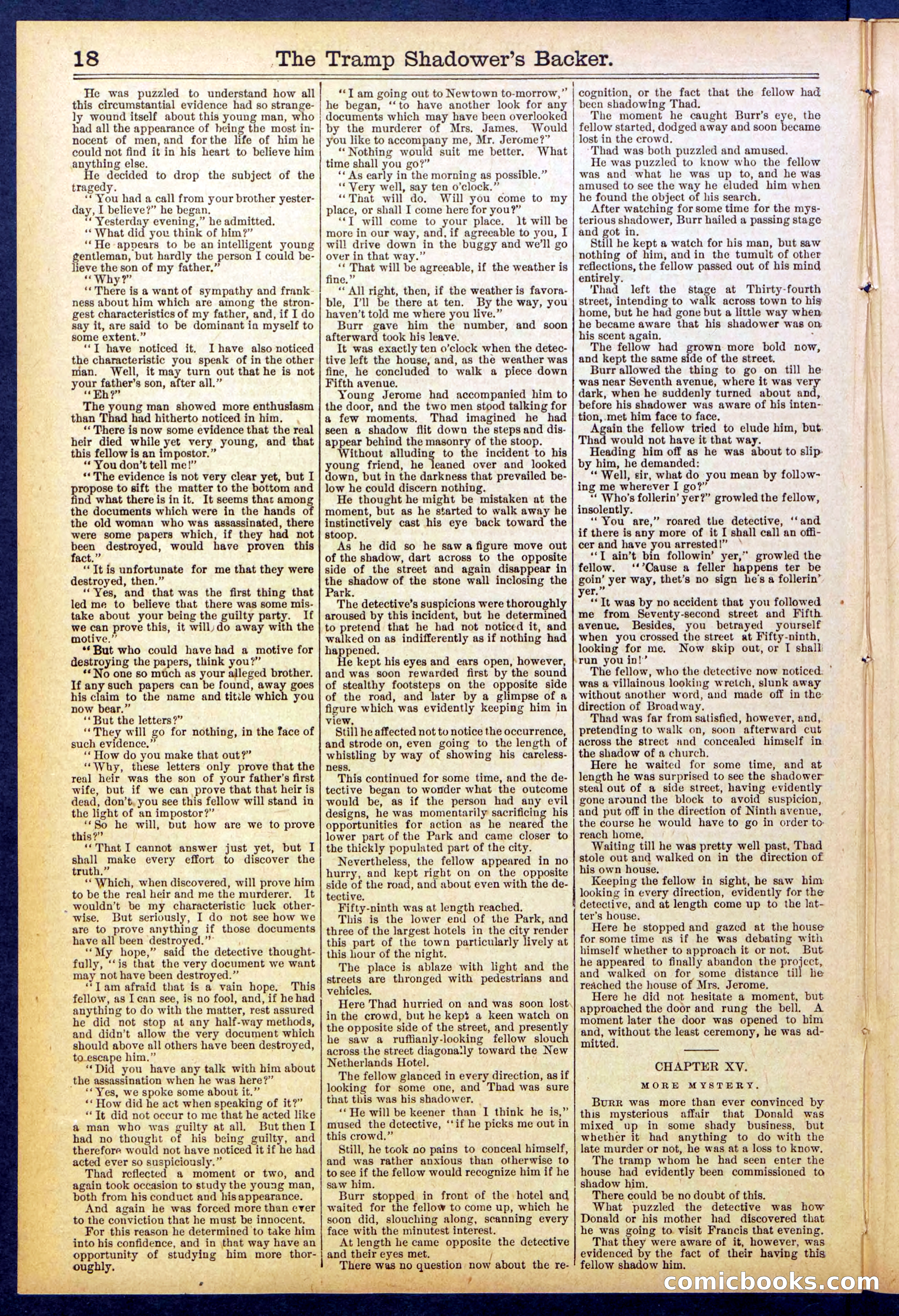 The Tramp Shadower's Backer — page 18 of 32