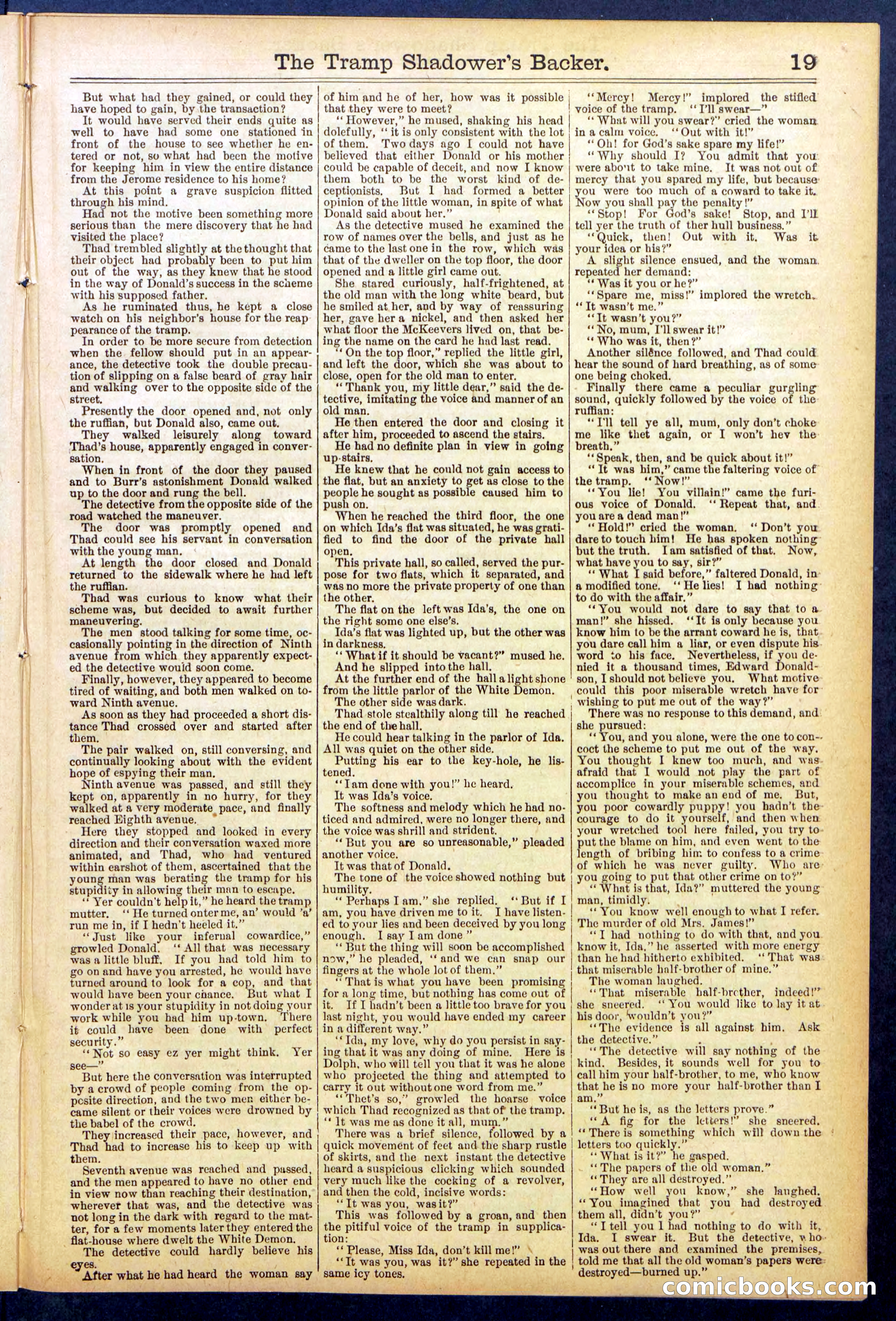 The Tramp Shadower's Backer — page 19 of 32