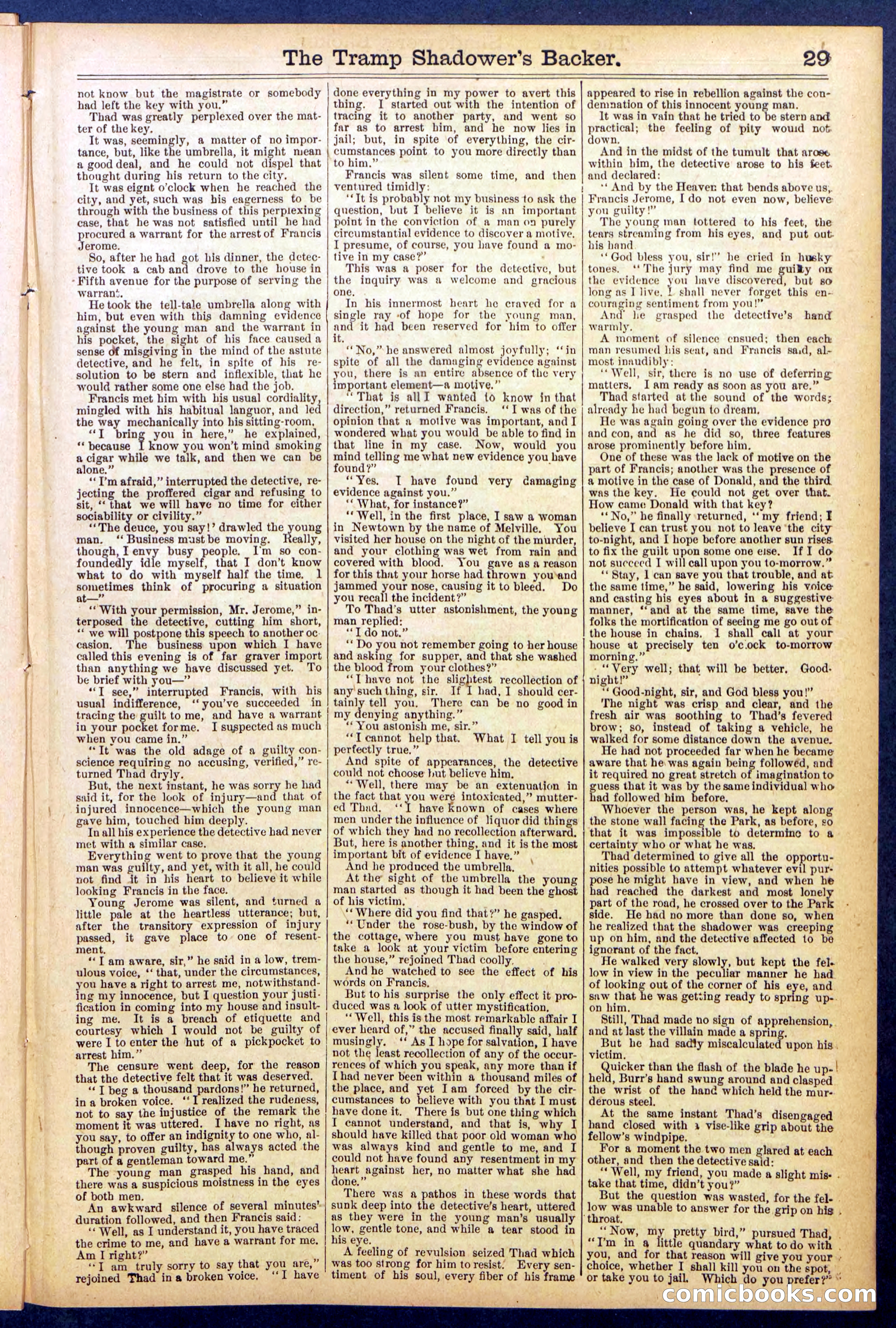 The Tramp Shadower's Backer — page 29 of 32