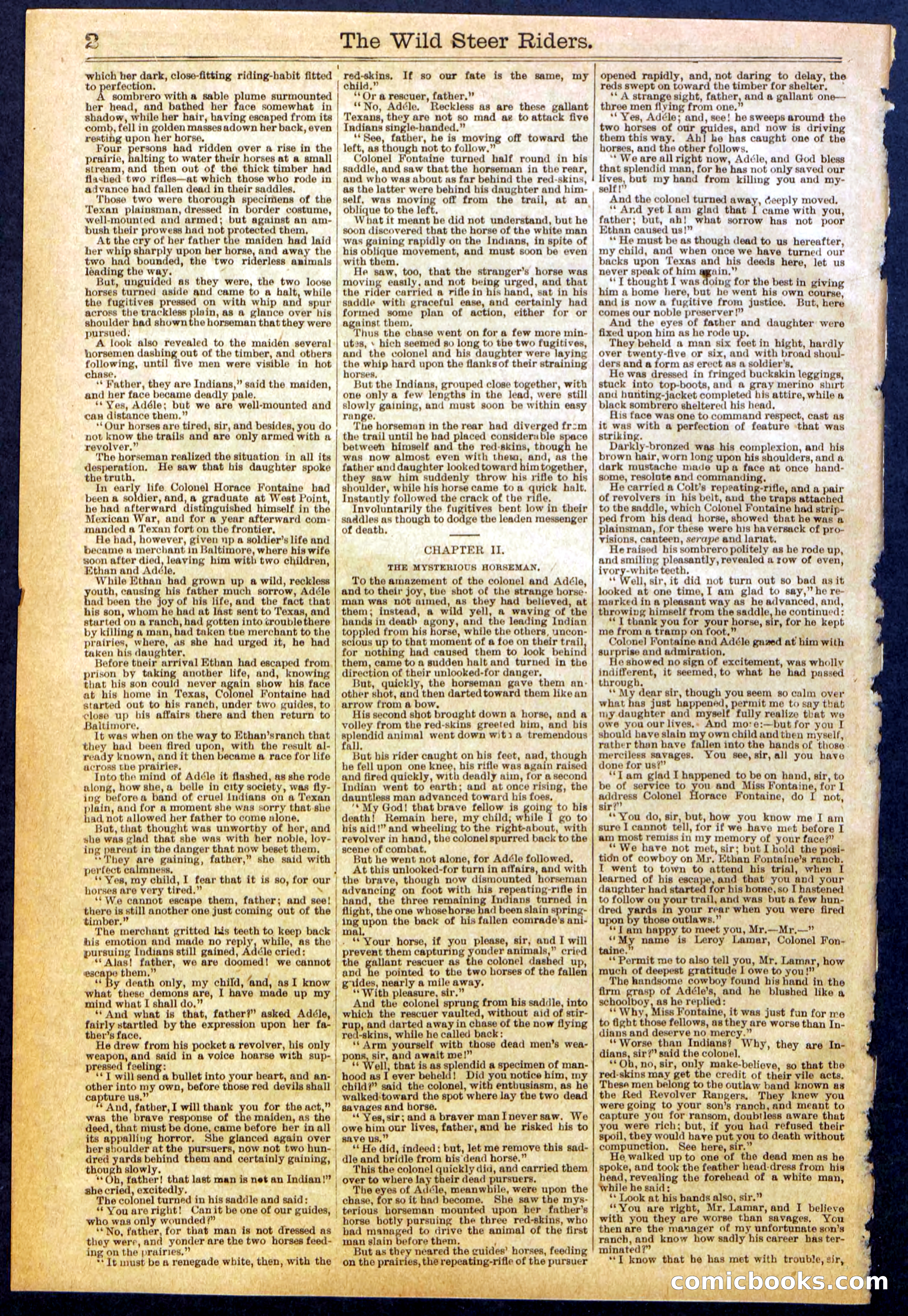 The Wild Steer Riders; or Texas Tricksters — page 2 of 32
