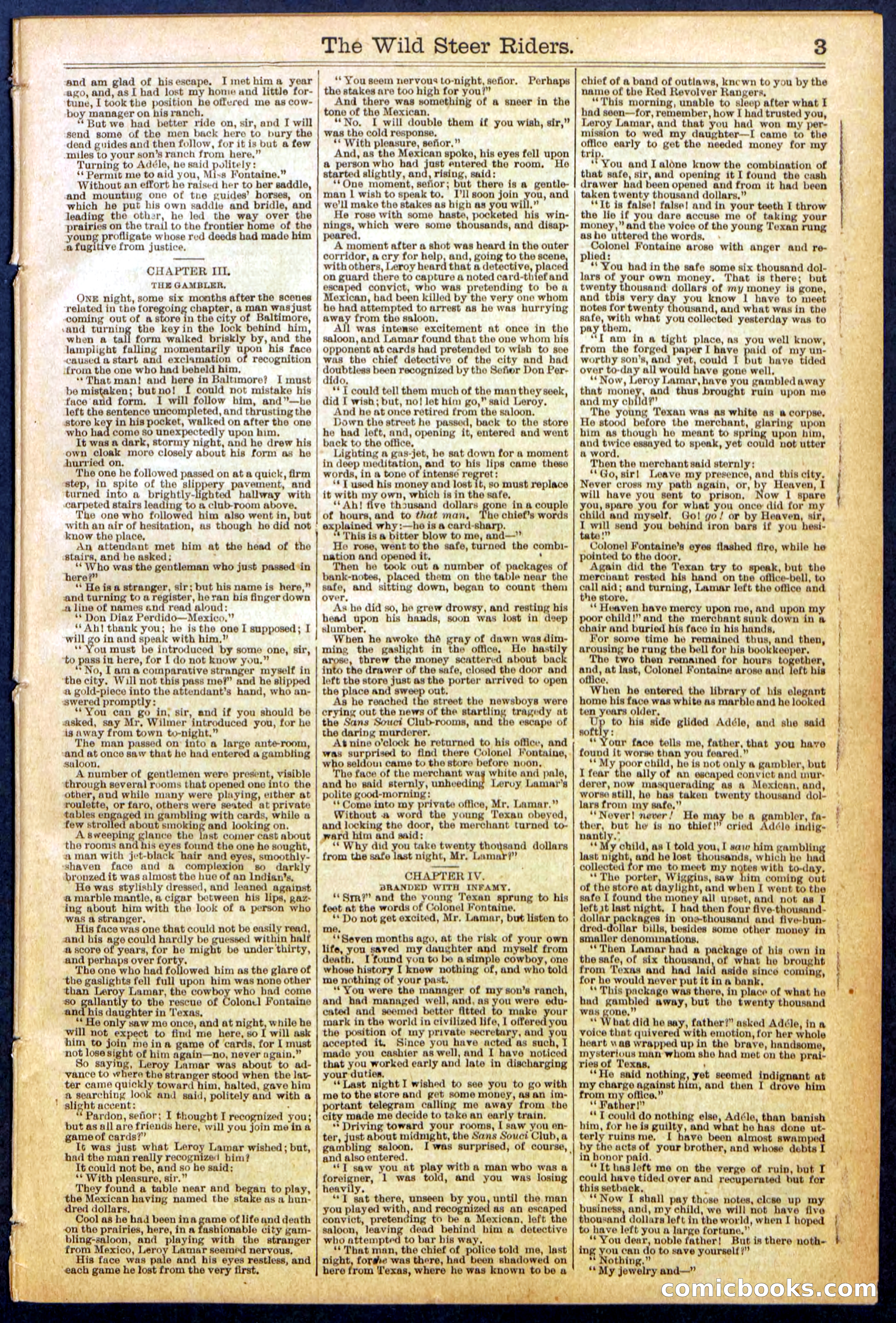 The Wild Steer Riders; or Texas Tricksters — page 3 of 32
