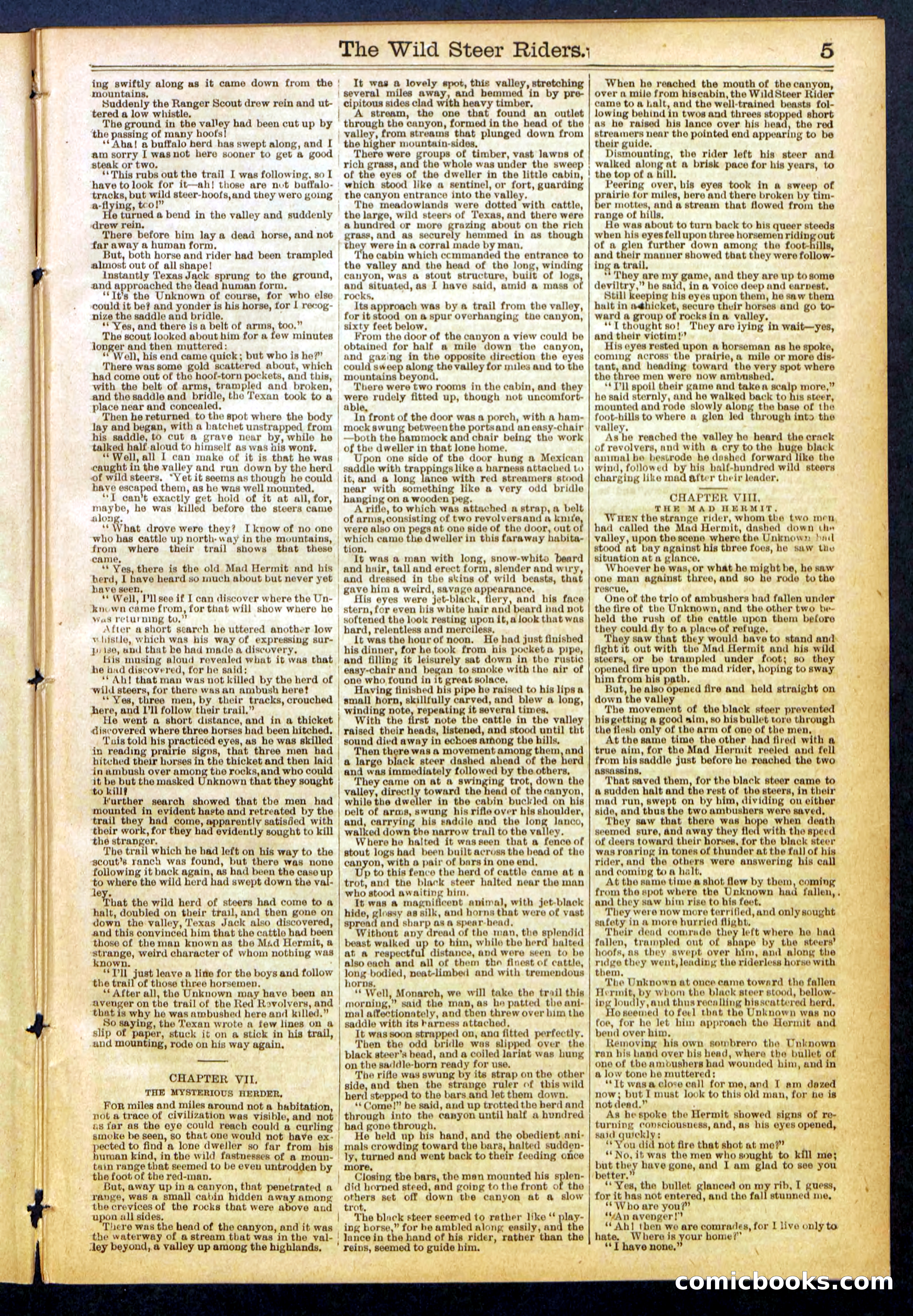 The Wild Steer Riders; or Texas Tricksters — page 5 of 32