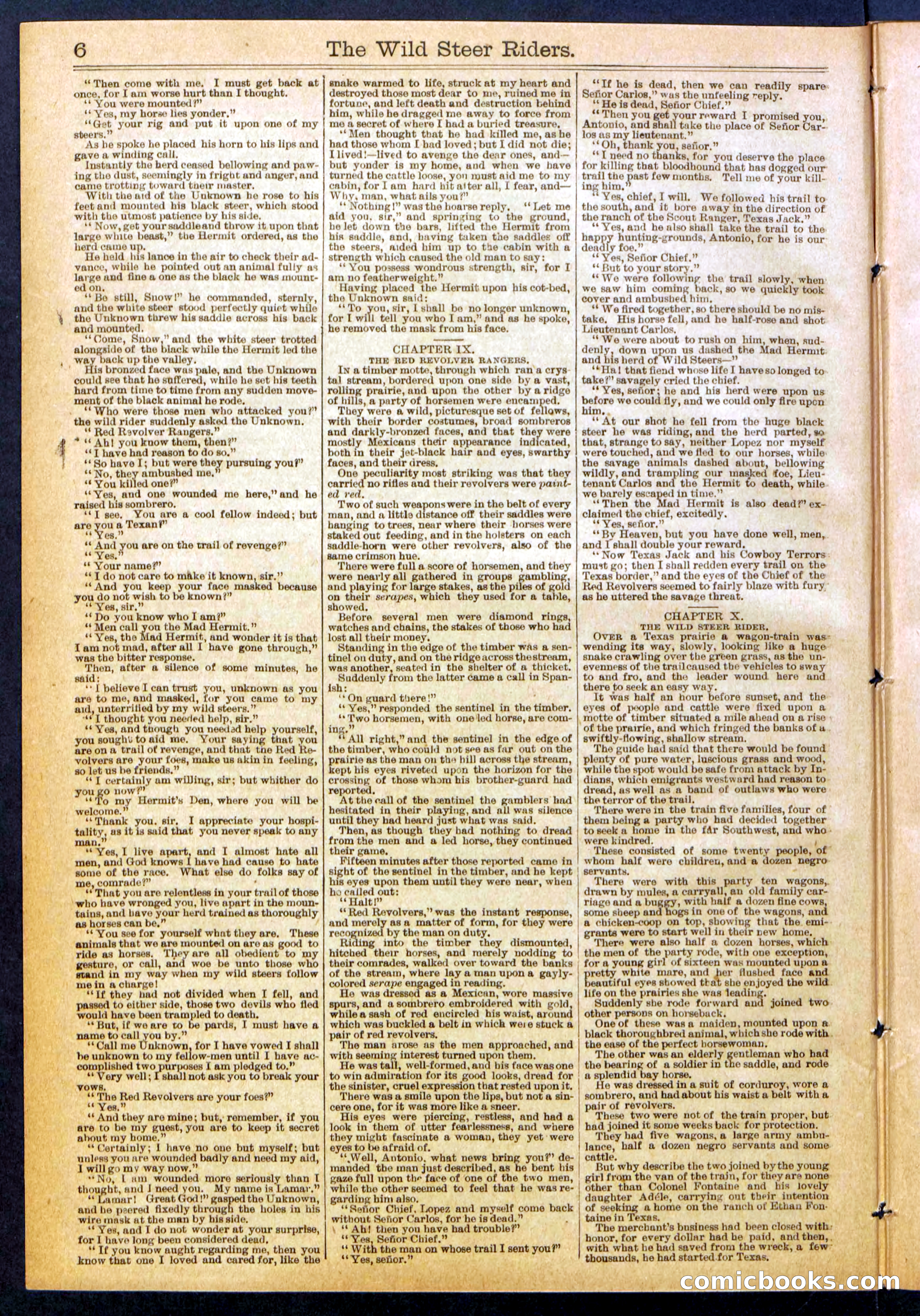 The Wild Steer Riders; or Texas Tricksters — page 6 of 32