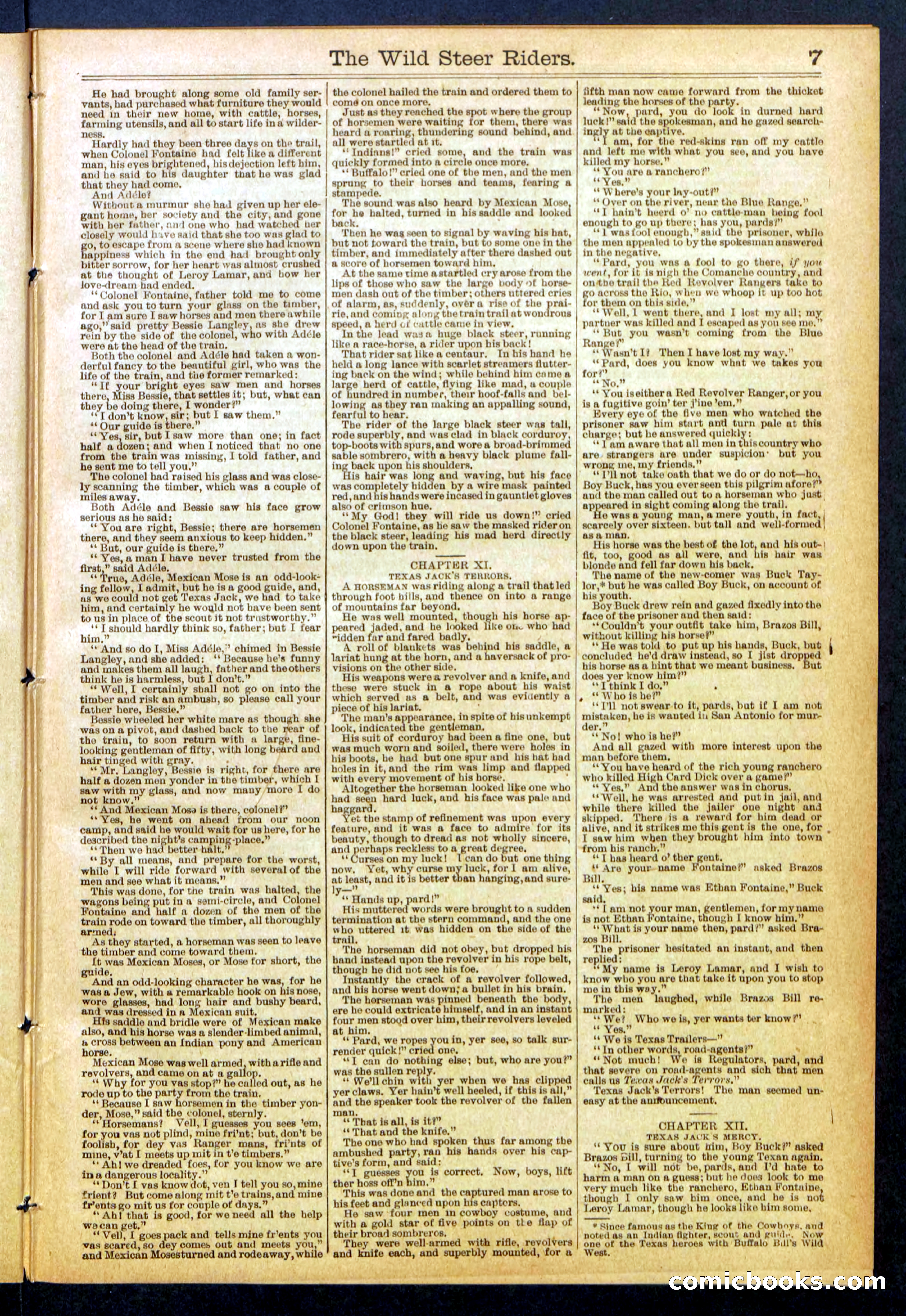 The Wild Steer Riders; or Texas Tricksters — page 7 of 32