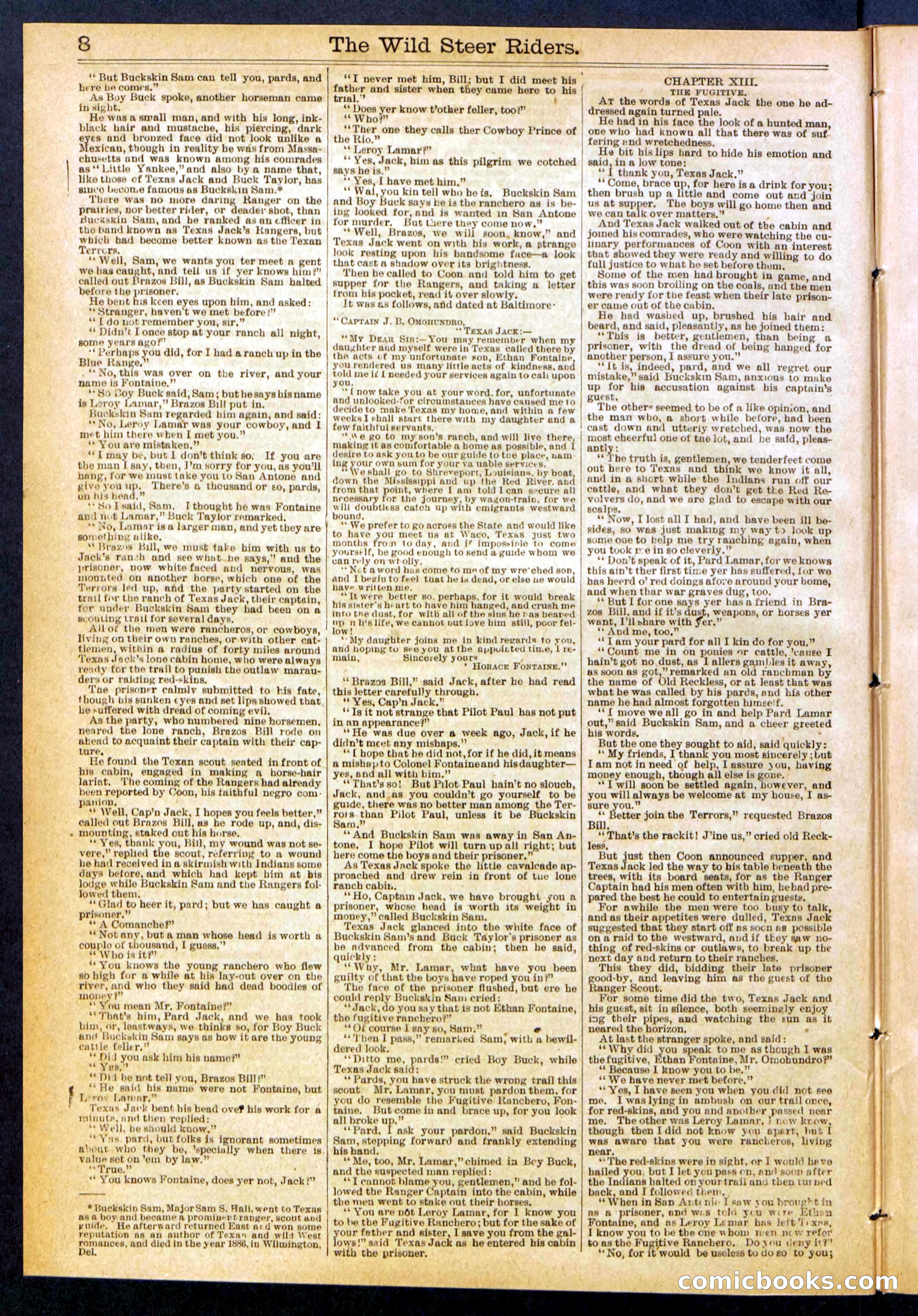 The Wild Steer Riders; or Texas Tricksters — page 8 of 32