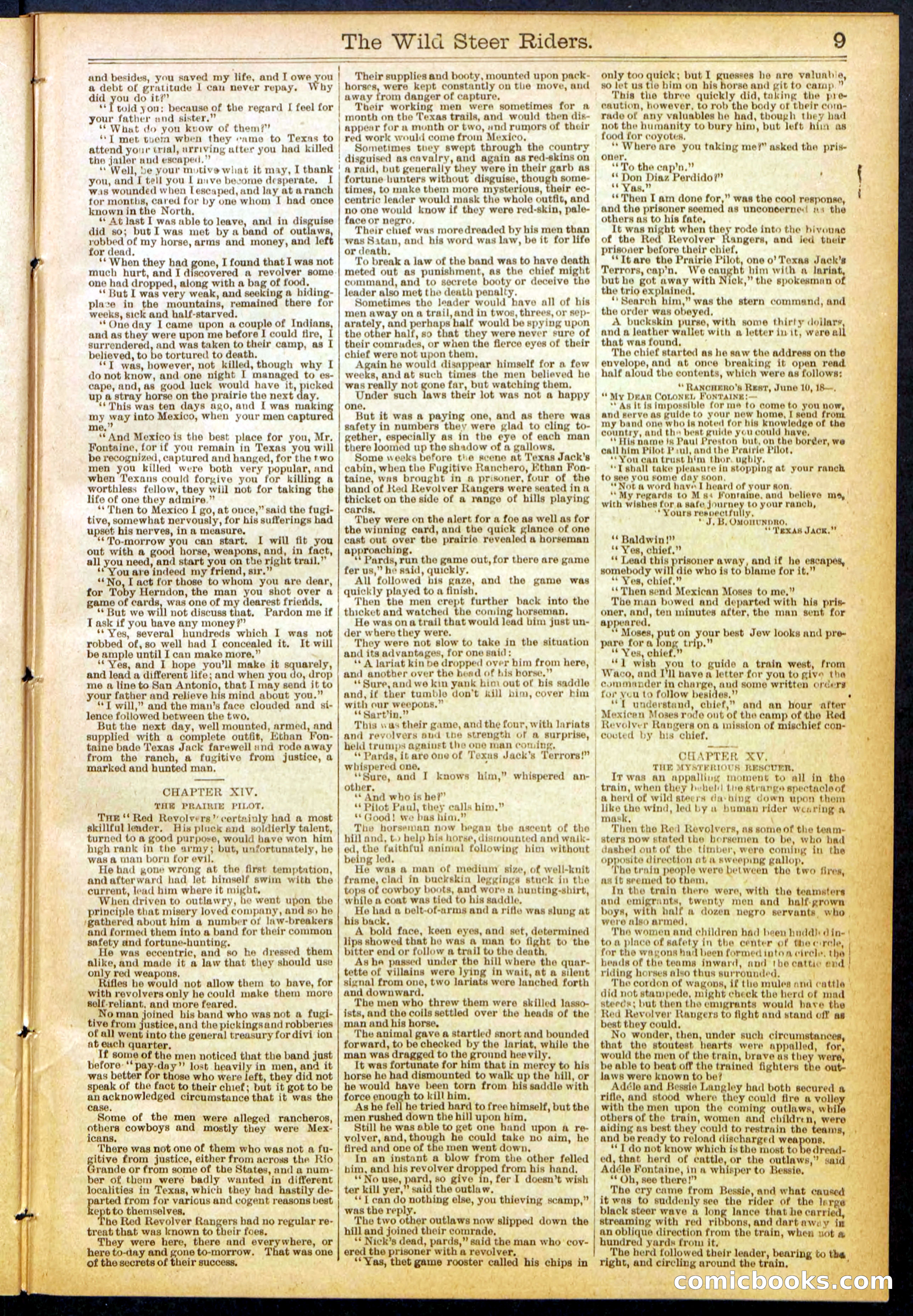 The Wild Steer Riders; or Texas Tricksters — page 9 of 32
